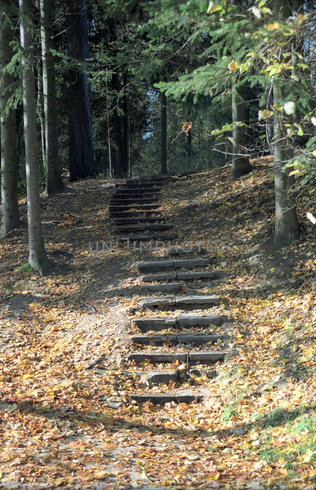 Stairway in the old autumn park