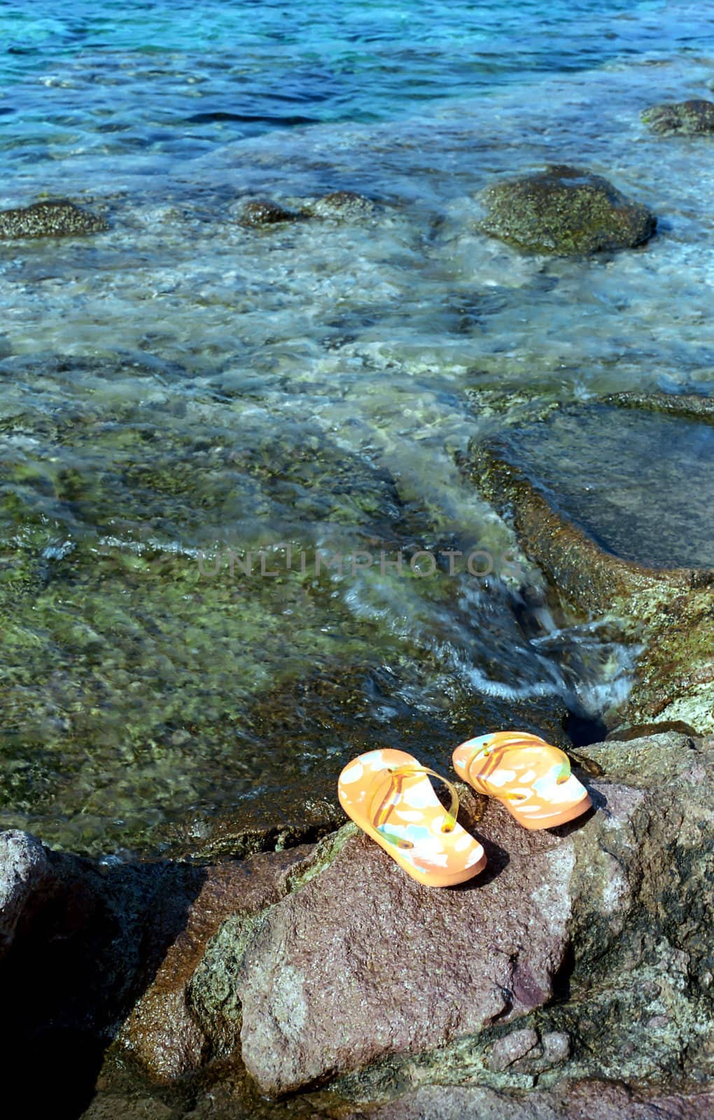 Yellow flips on the wet stone near water