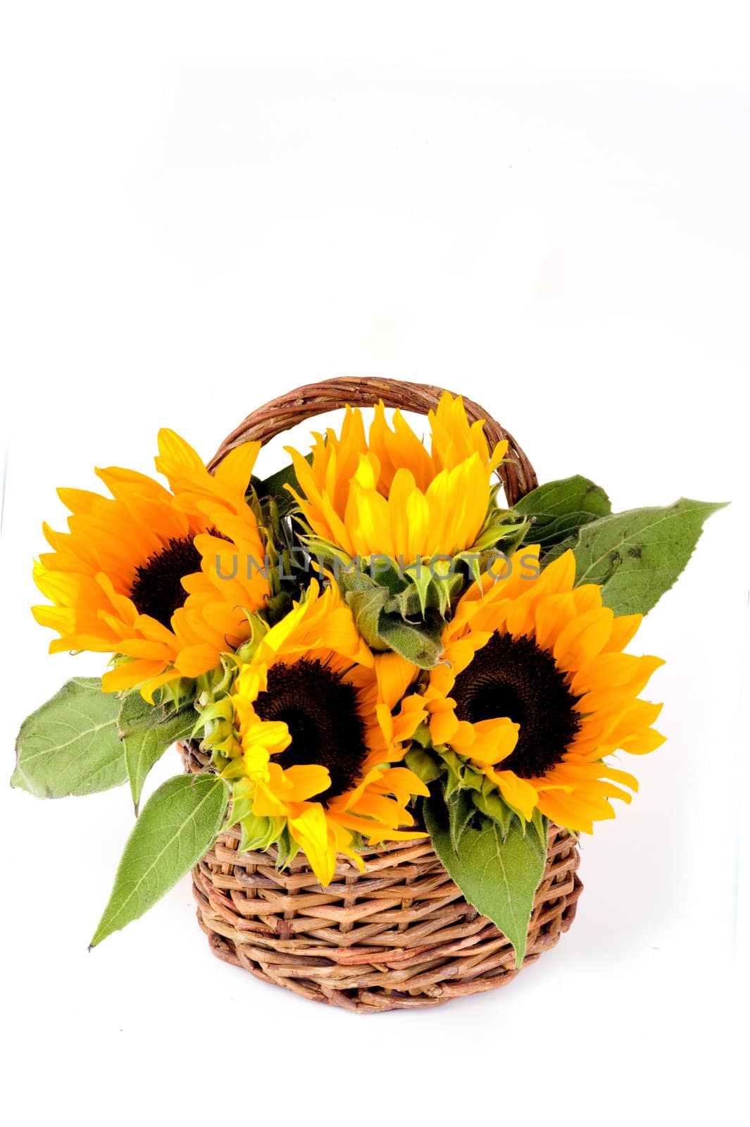 Four sunflowers in a basket