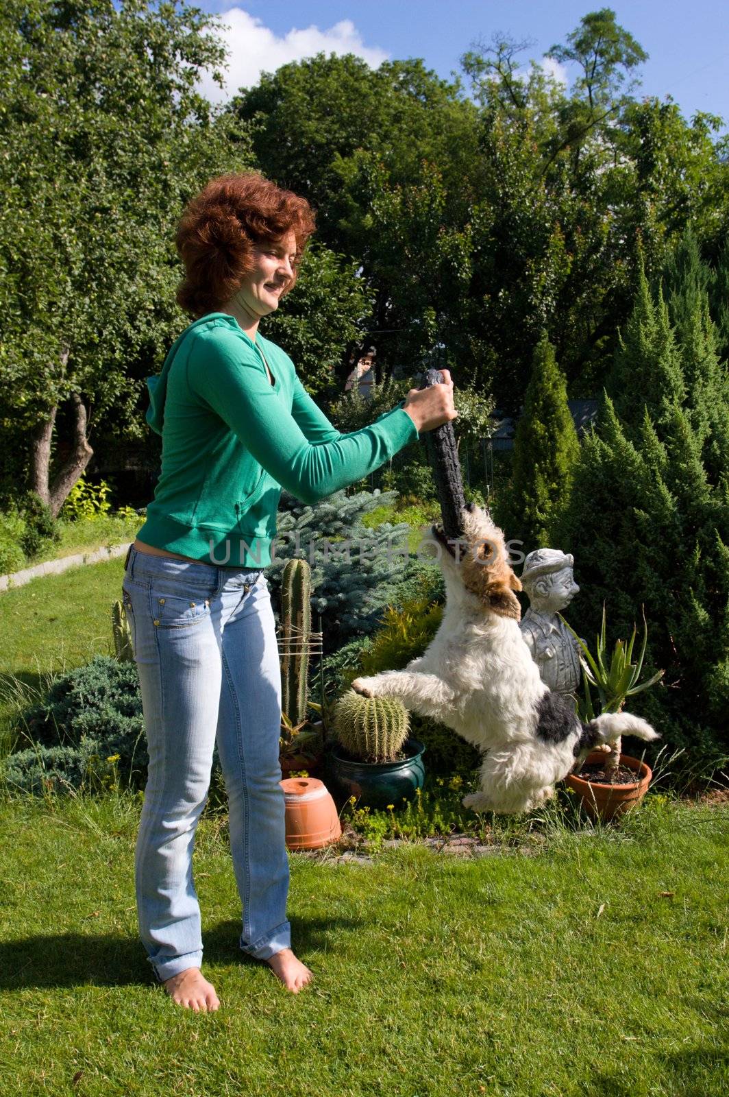 barefoot woman play with fox terrier in garden