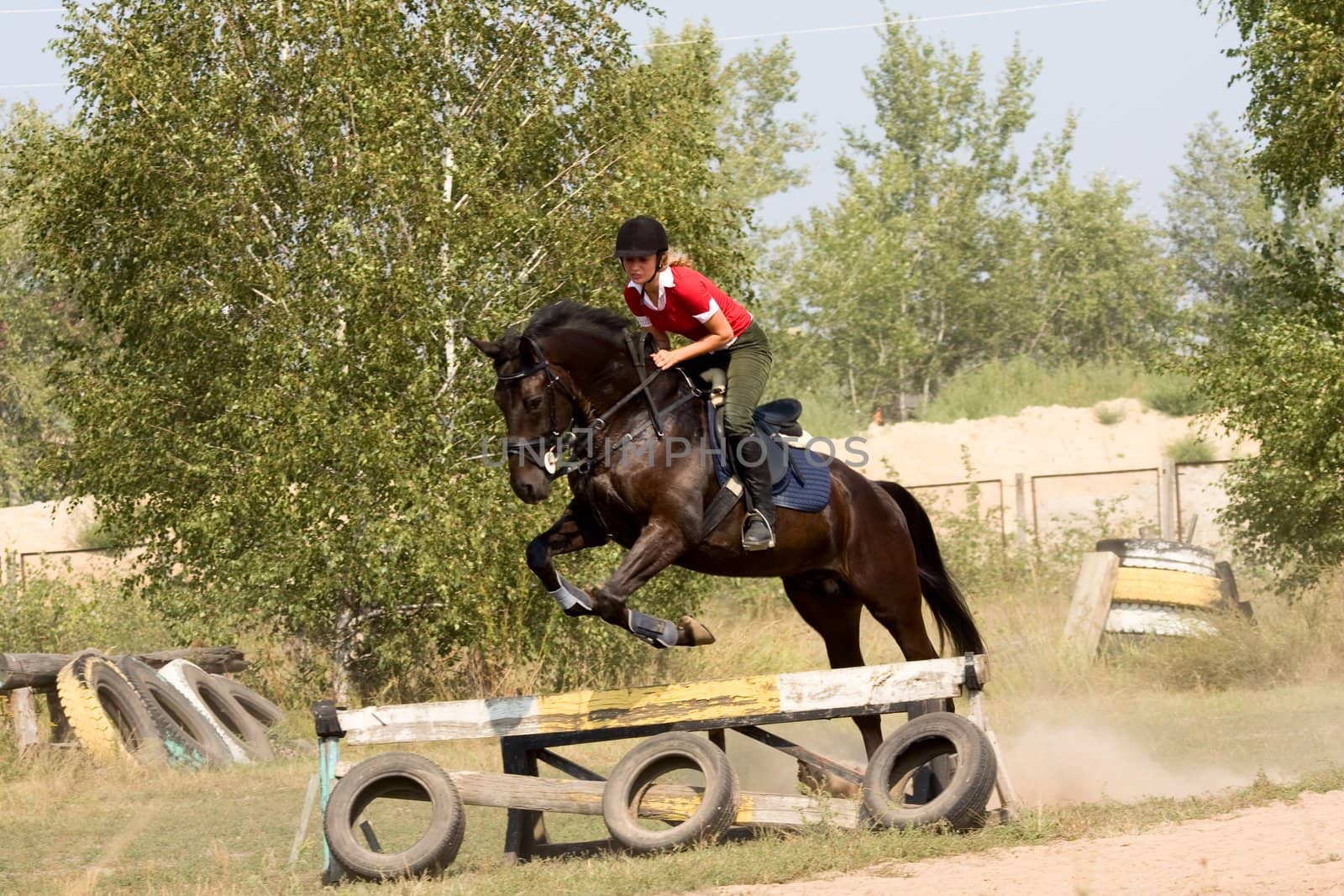 Girl on horse jumping over hurdle