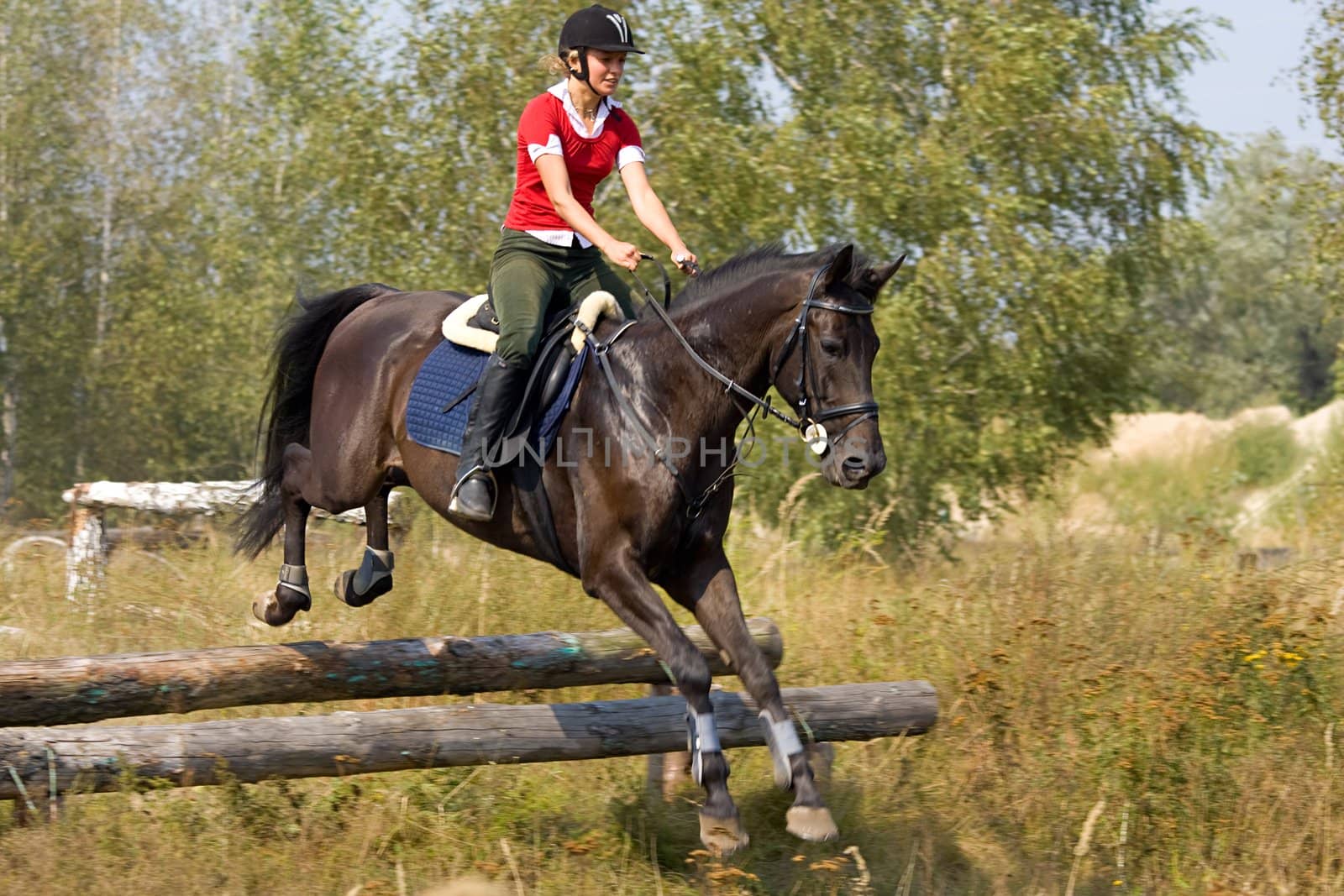 Girl on horse jumping over hurdle