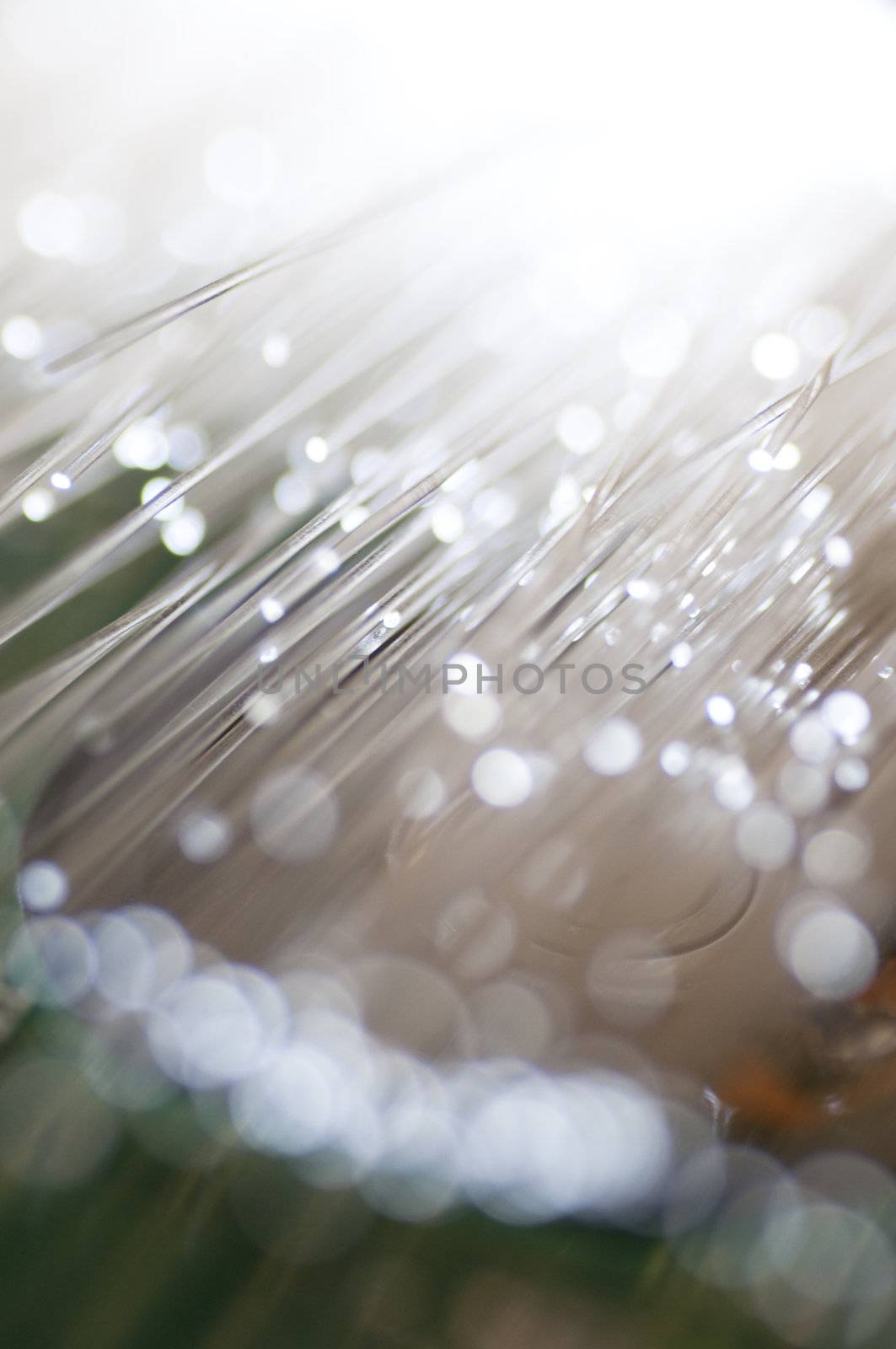 Optical fiber picture with details and light effects. by FernandoCortes