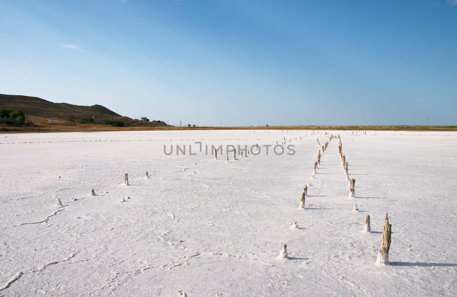 alkali soil and old wood columns