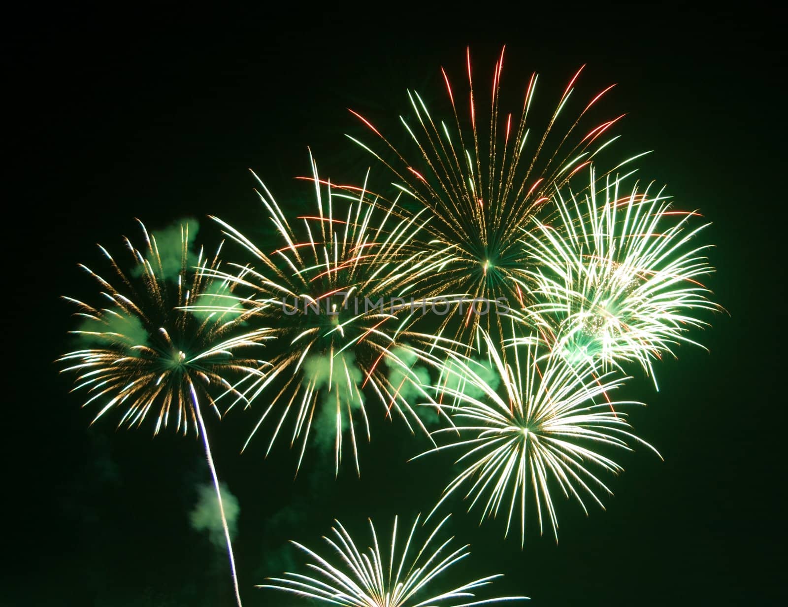 Multi colored fireworks in black sky