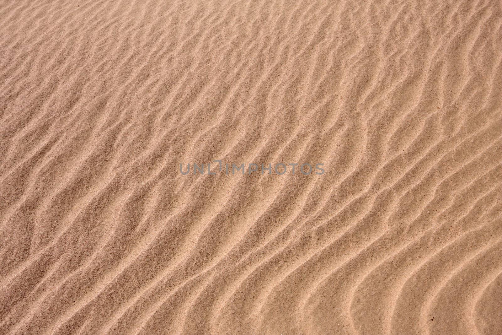 natural background from waves on sand in desert