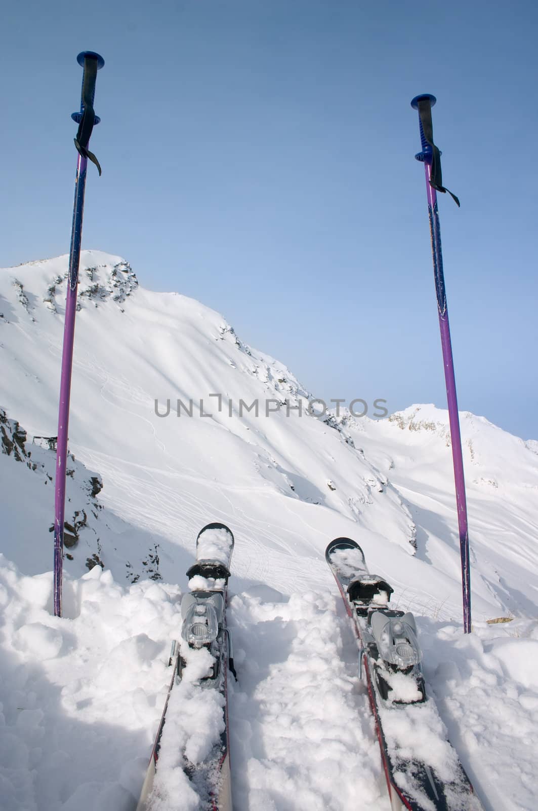 skie and ski pole in snow