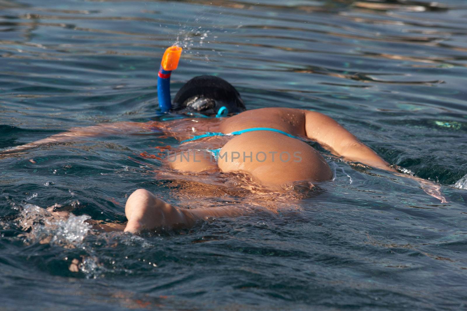 girl with nice ass snorkling in sea