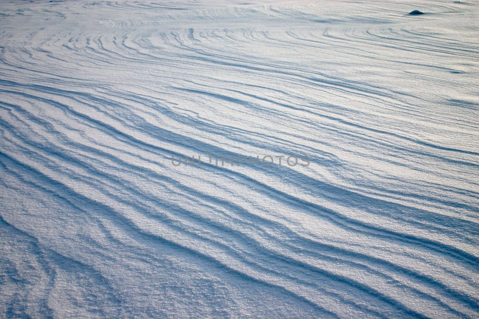 Pattern of weathering lines on the snow plain