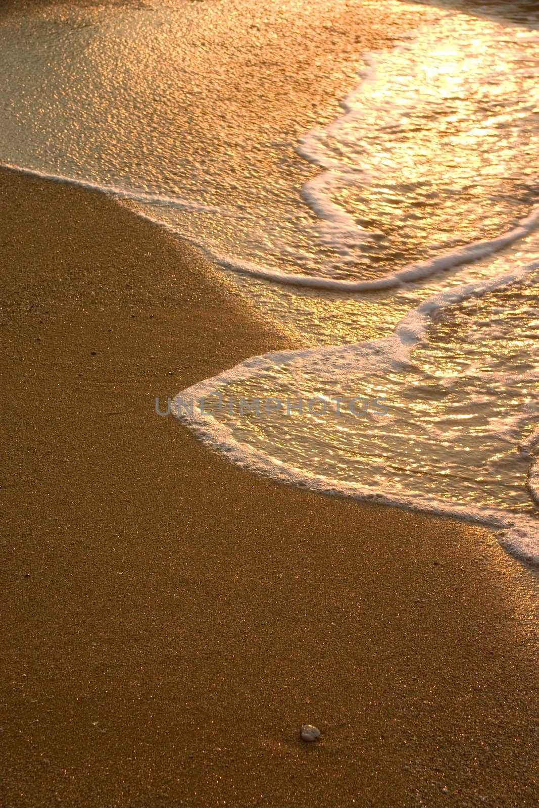 Gentle surf lapping against a golden shore.