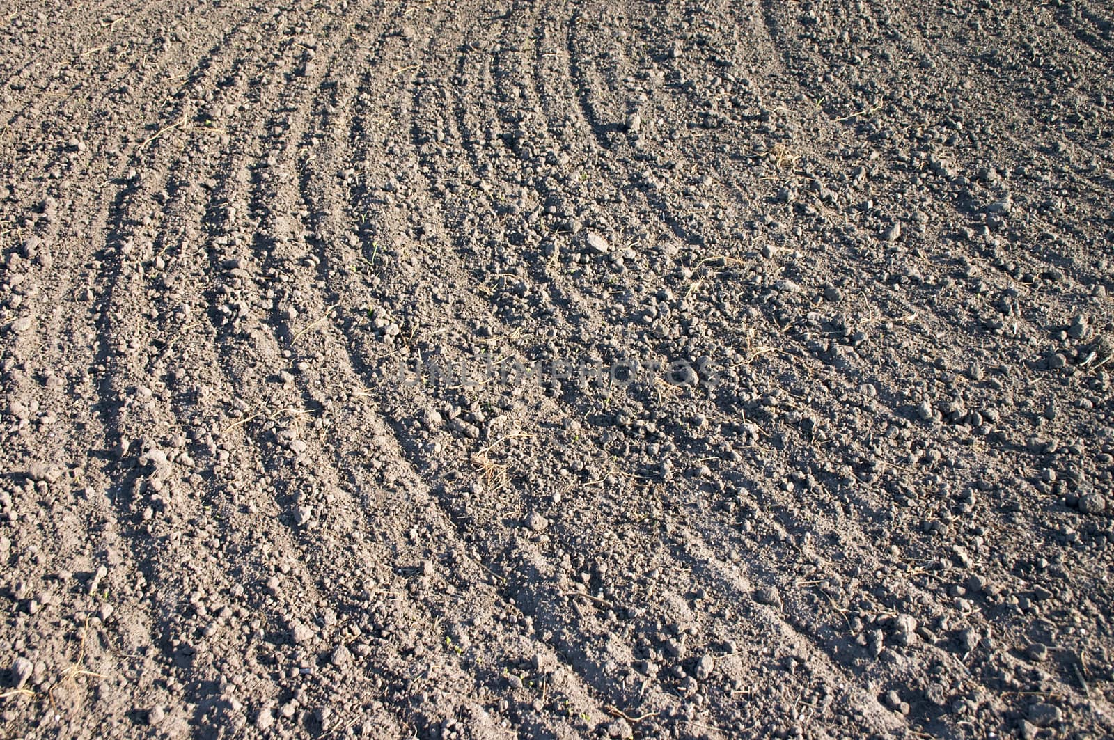 texture of ploughed earth on the spring field