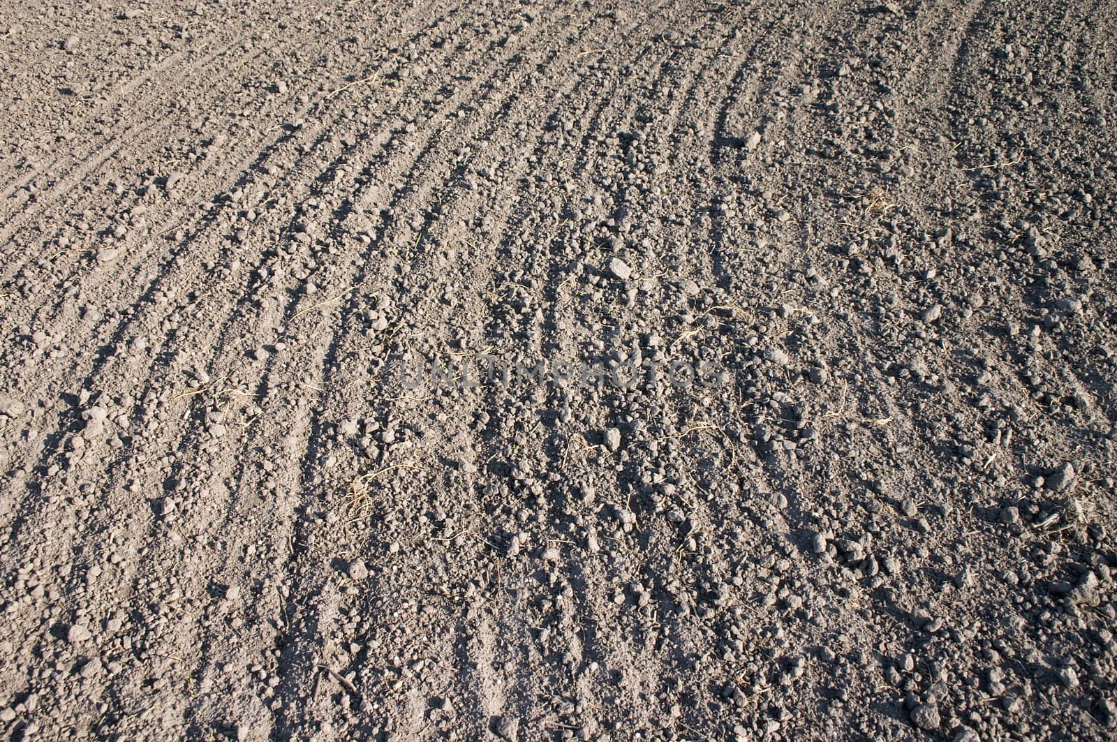 facture of tilled earth on the field