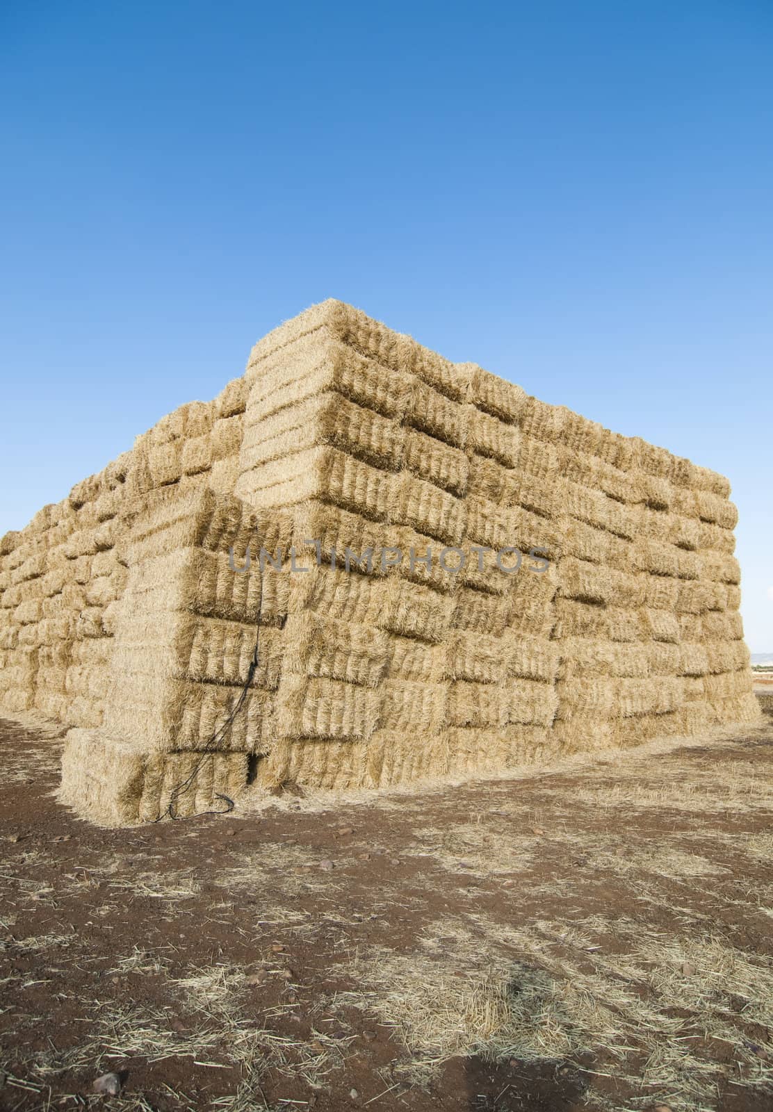 straws of hay, grain crop field by FernandoCortes