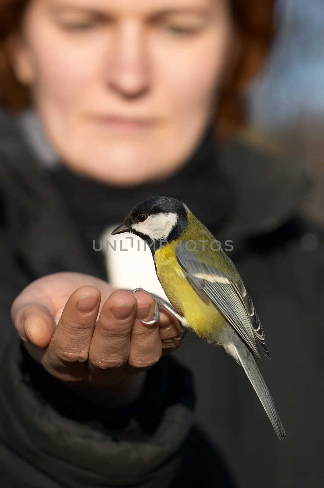 Girl taking a tit bird
