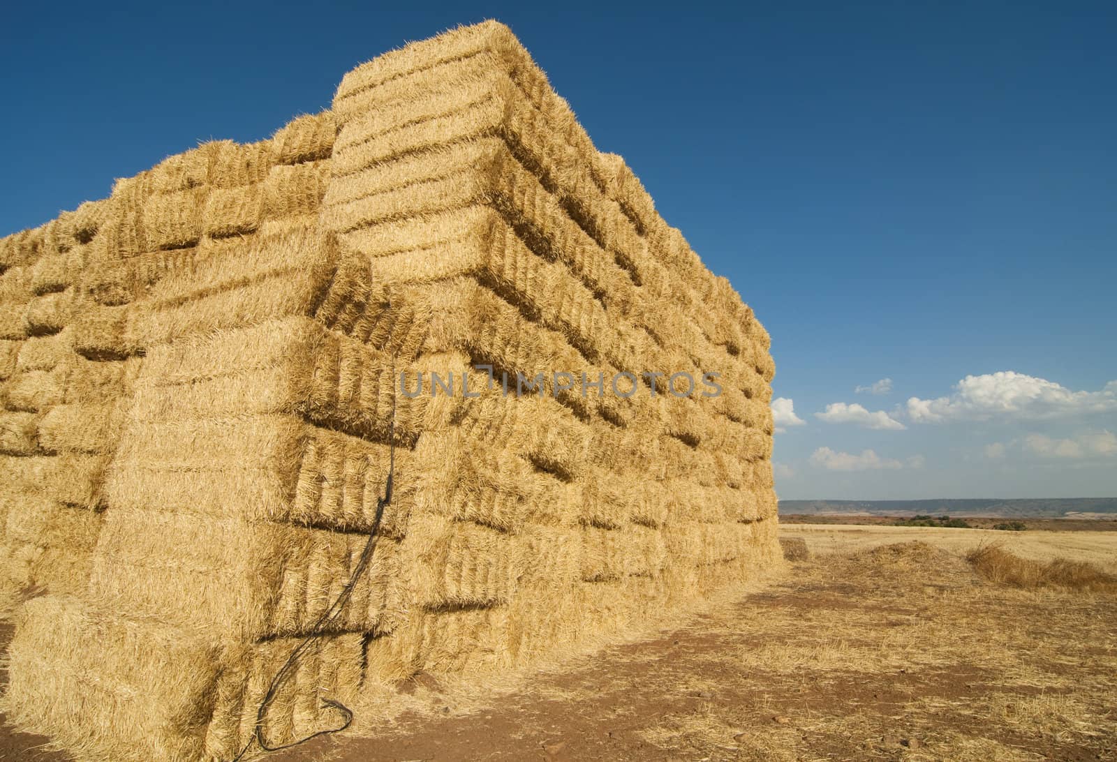 straws of hay, grain crop field by FernandoCortes