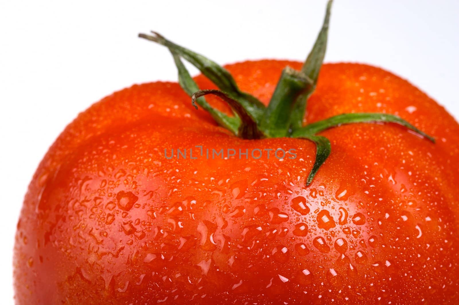 macro photo of red tomato with water drops