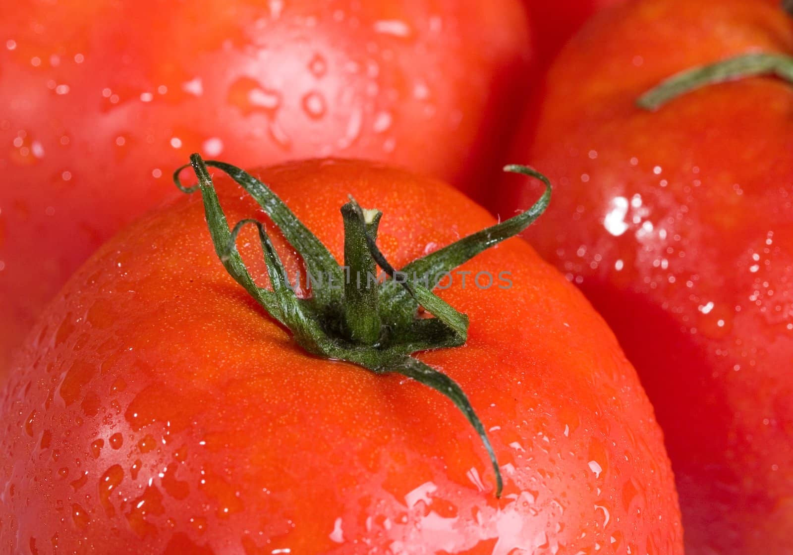 gorup of red tomatoes in water drops