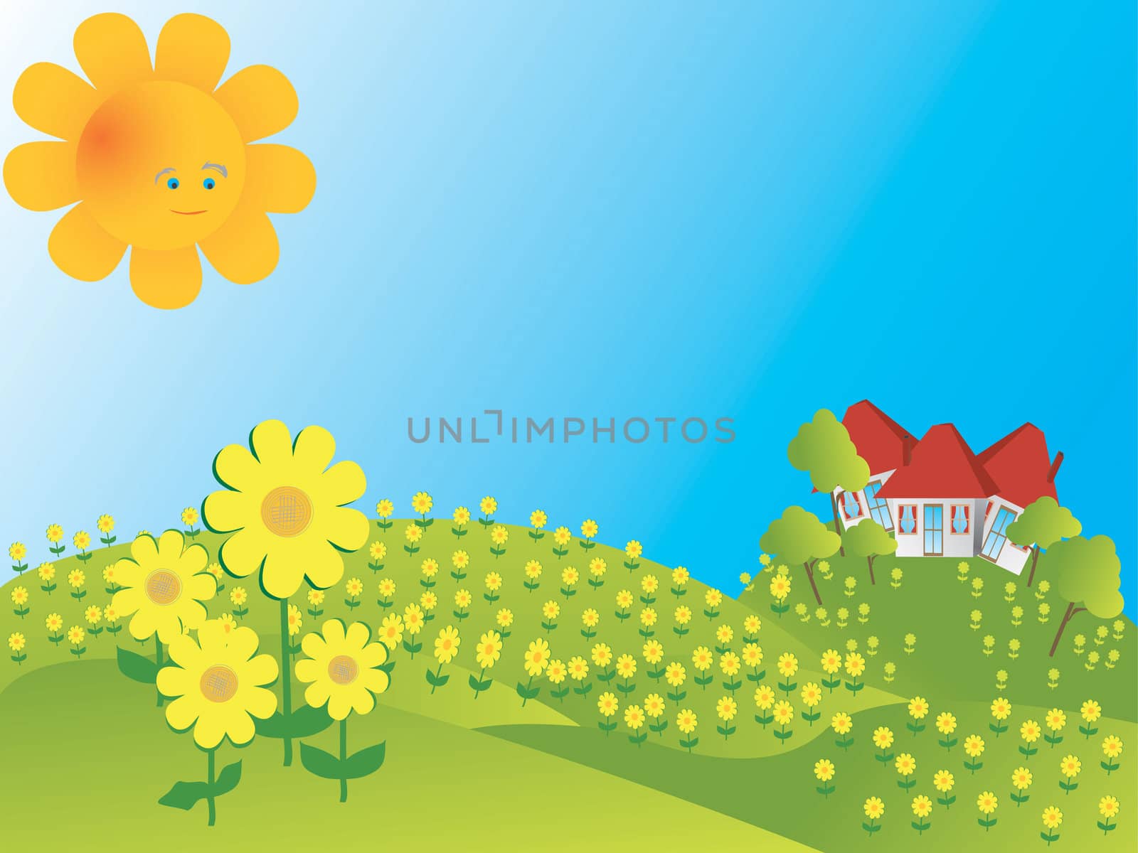 Background illustration with sunflowers