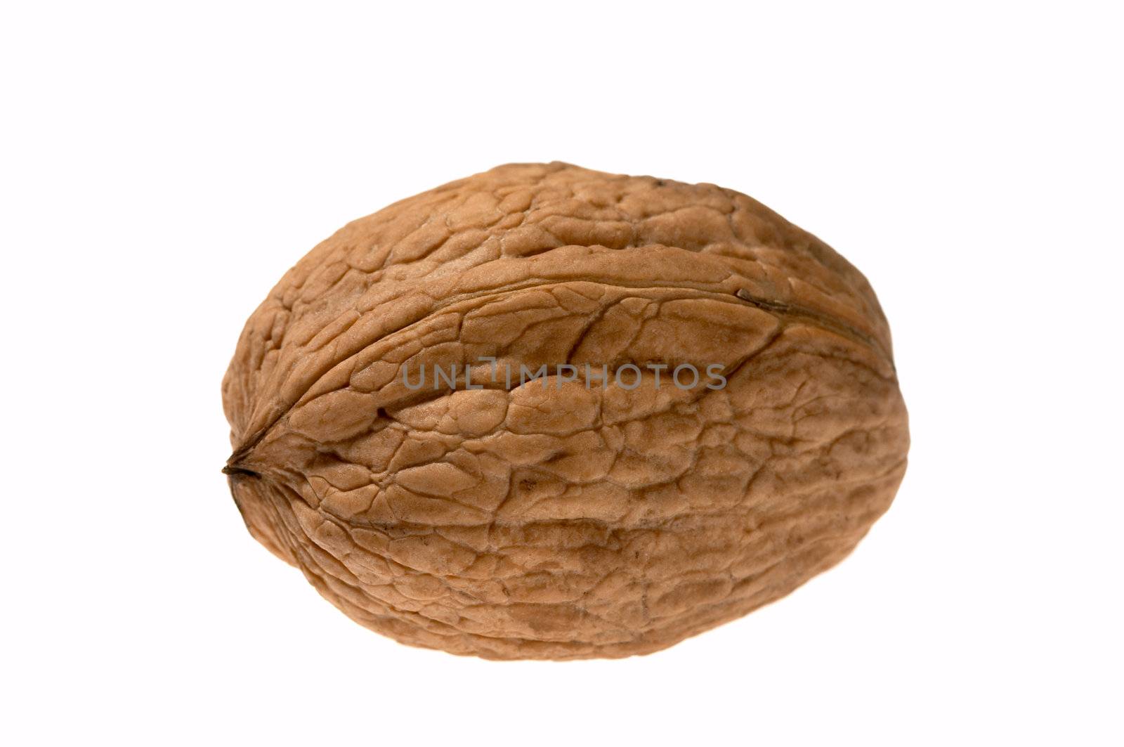 Walnut that lies horisontally isolated on the white background