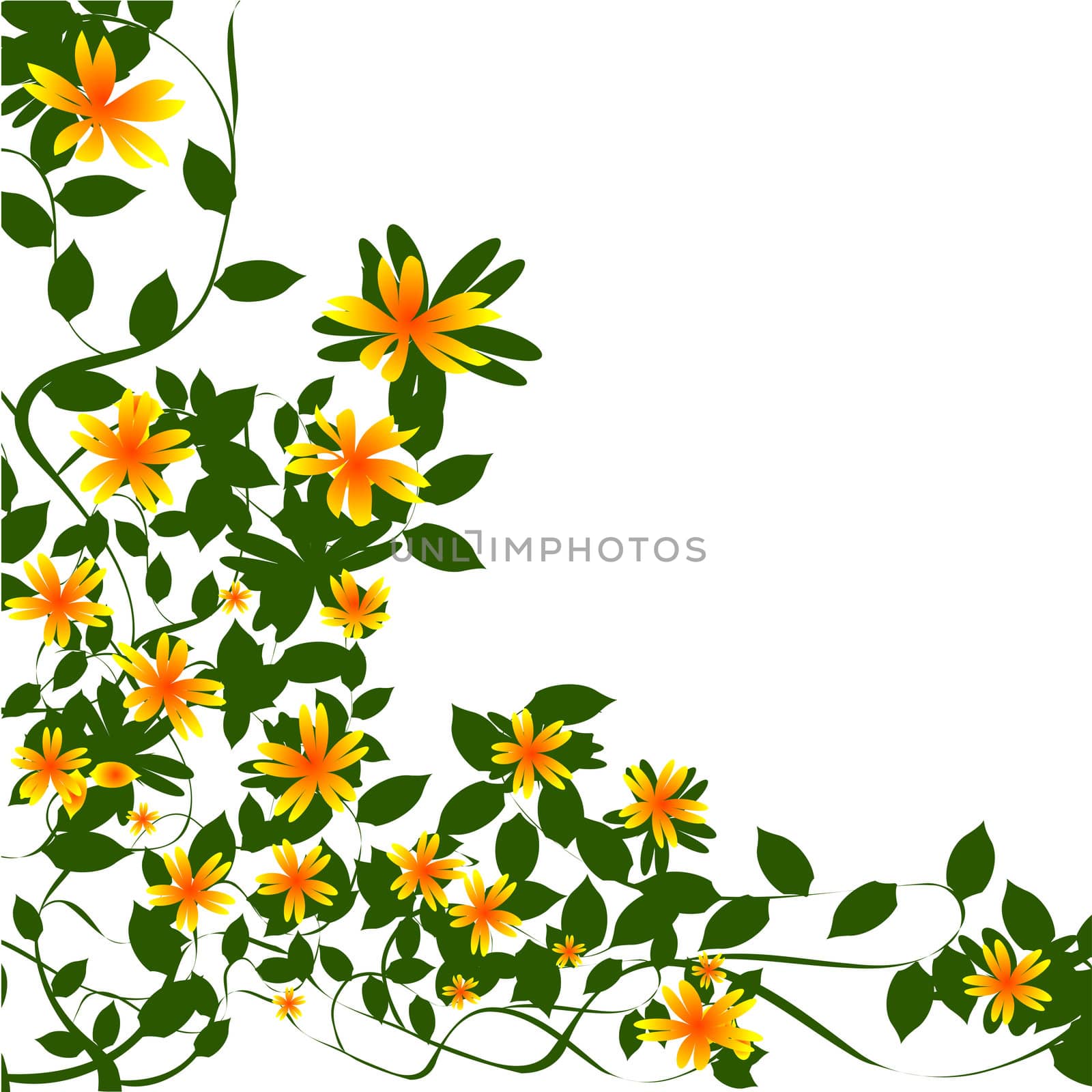 Decorative floral border over white background