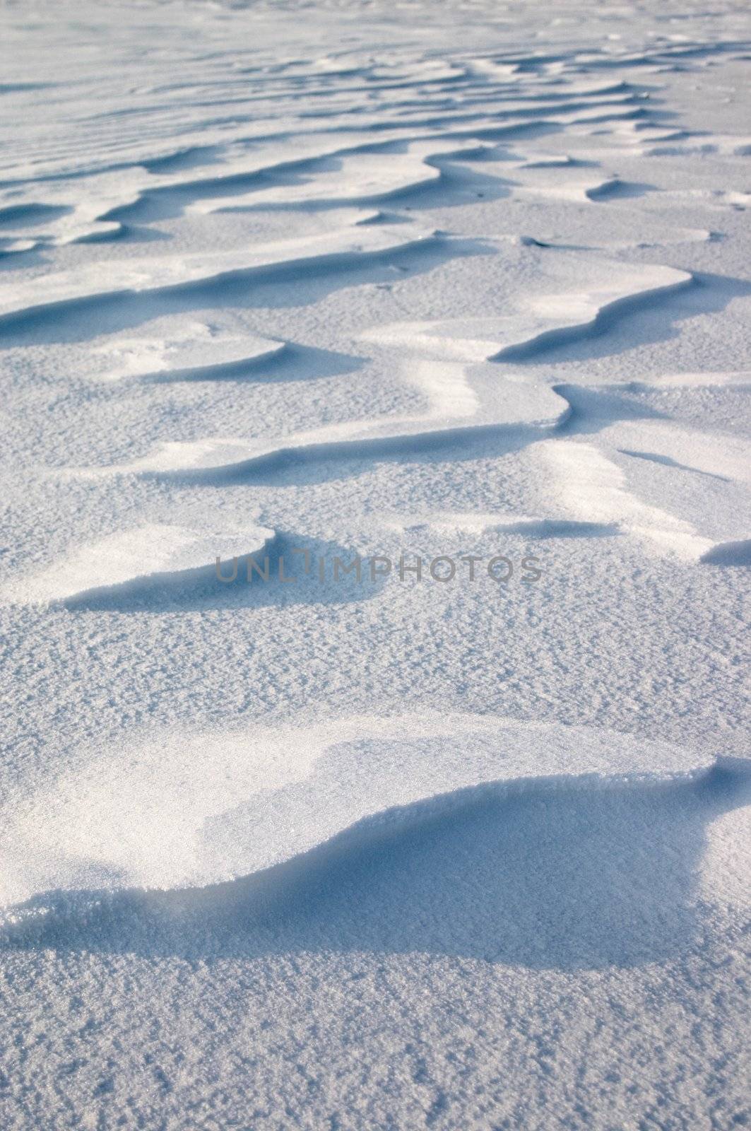 Snow erosion on the snow plain
