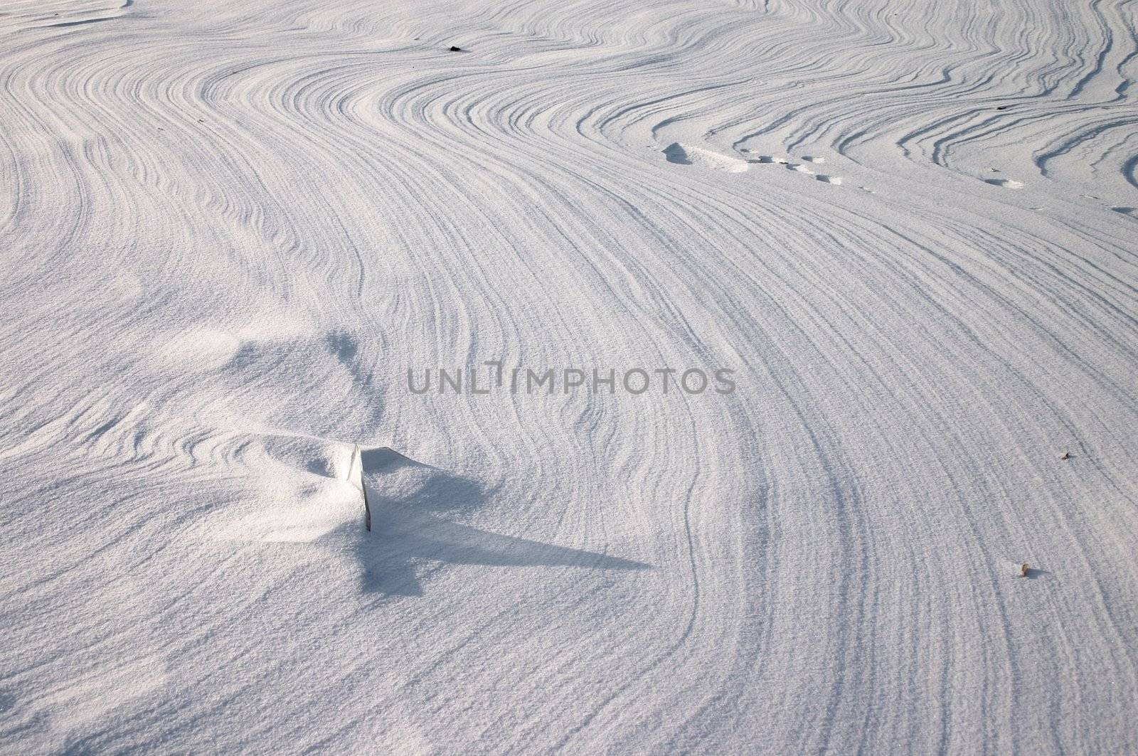 Vestige from ground wind on the snow plain