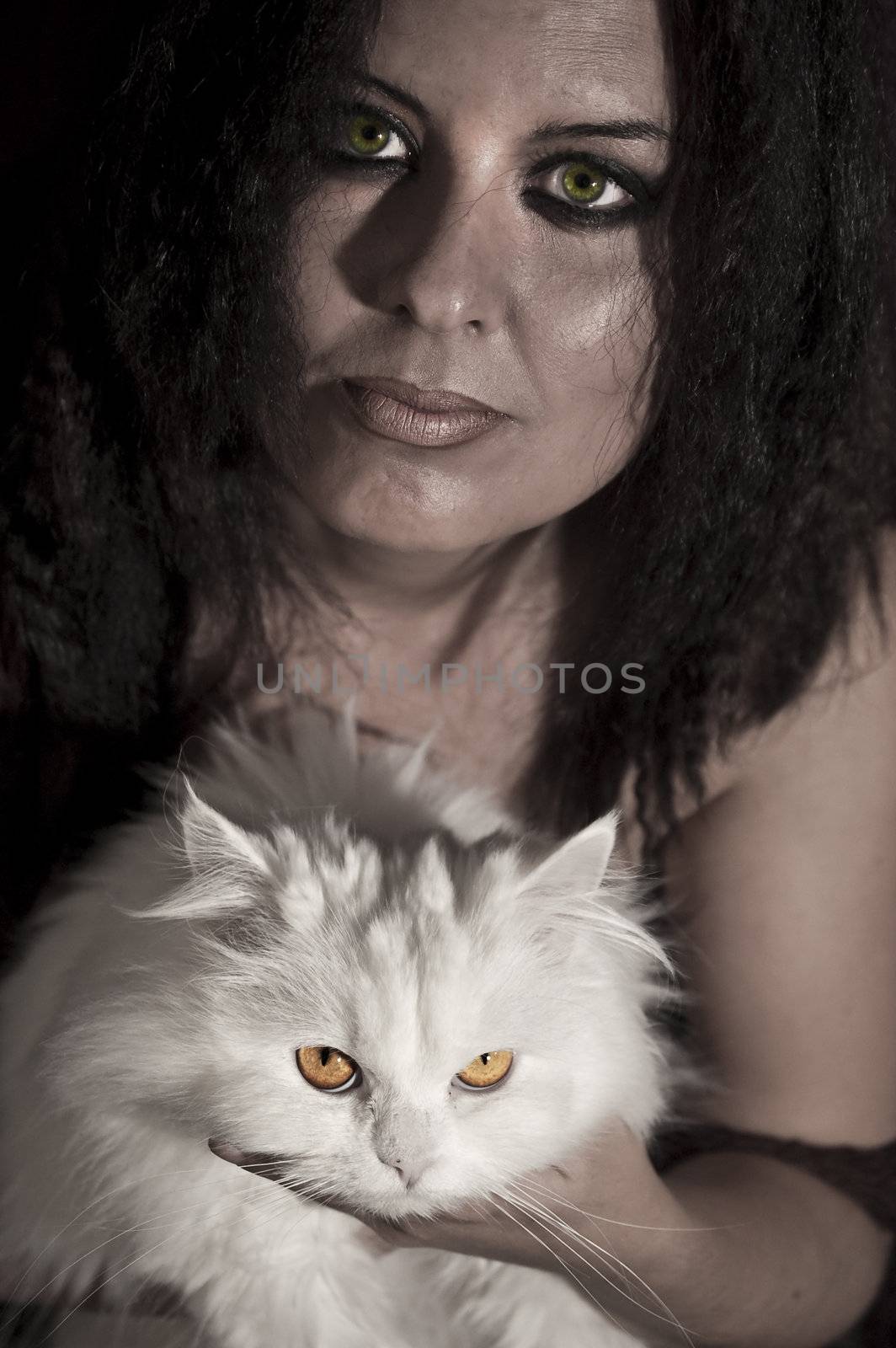 Beautiful woman with persian cat