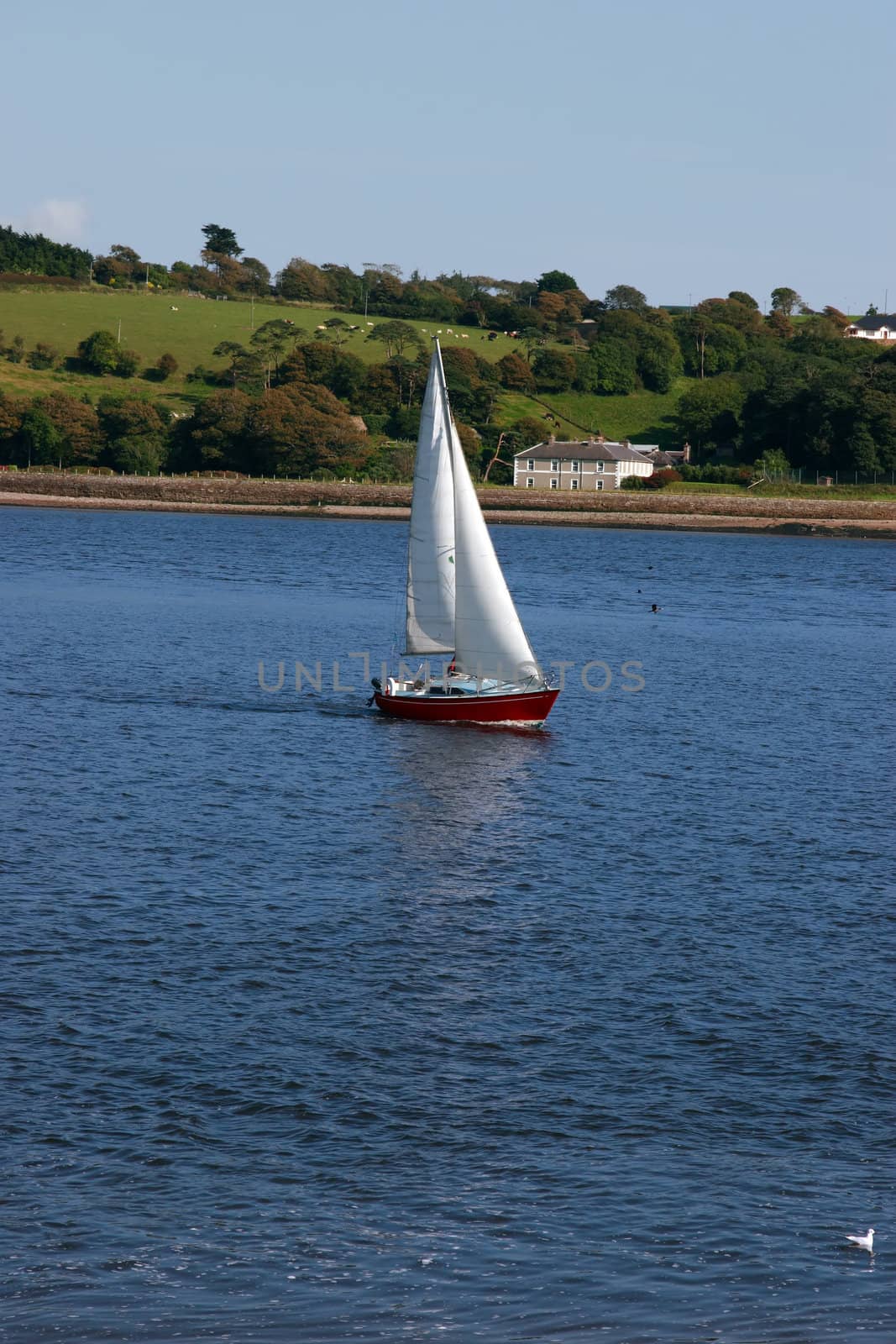 a yacht sailing in youghal bay ireland