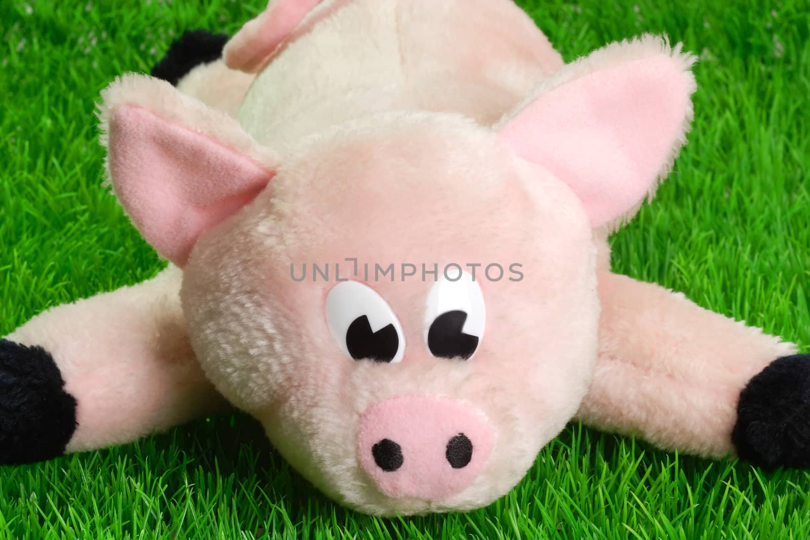 Pink piggy soft toy green grass background