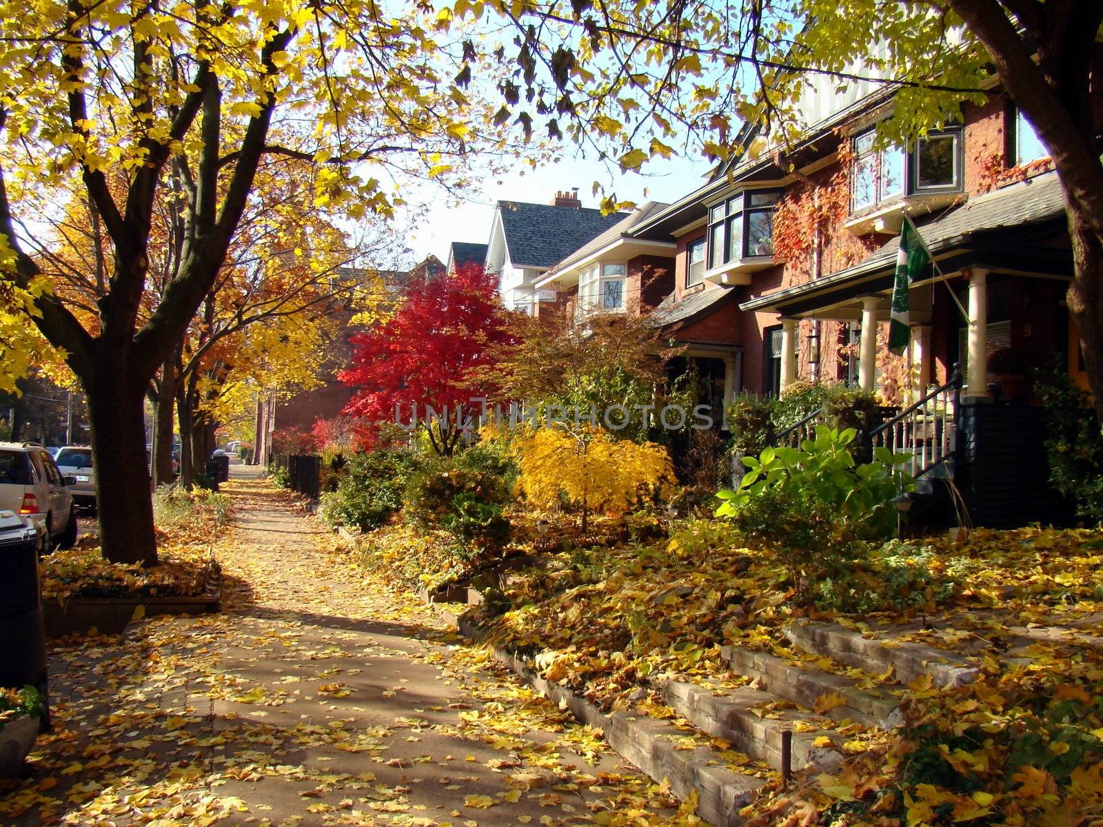 Autumn City SideWalk showing fall colors