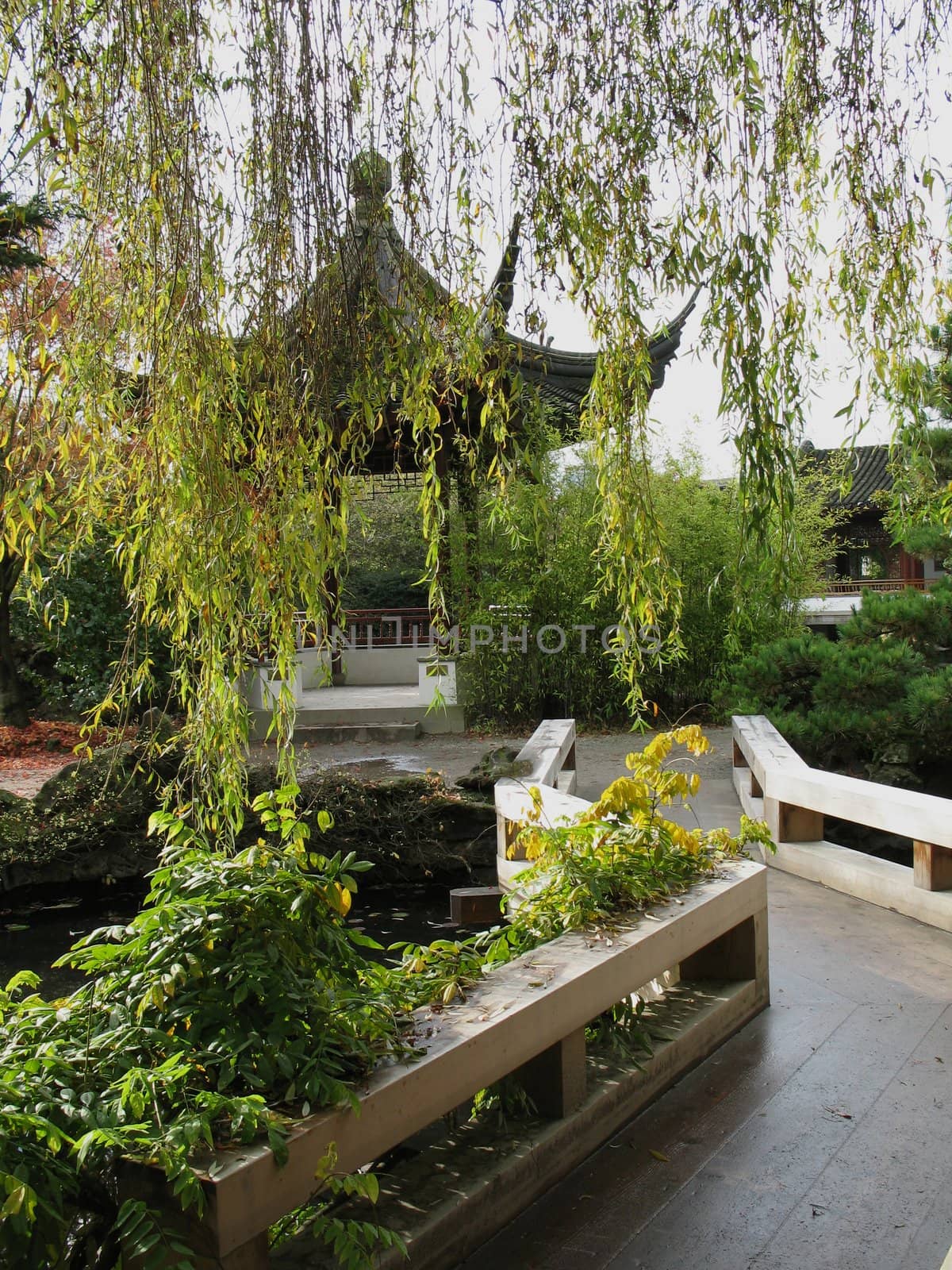 path through asian garden