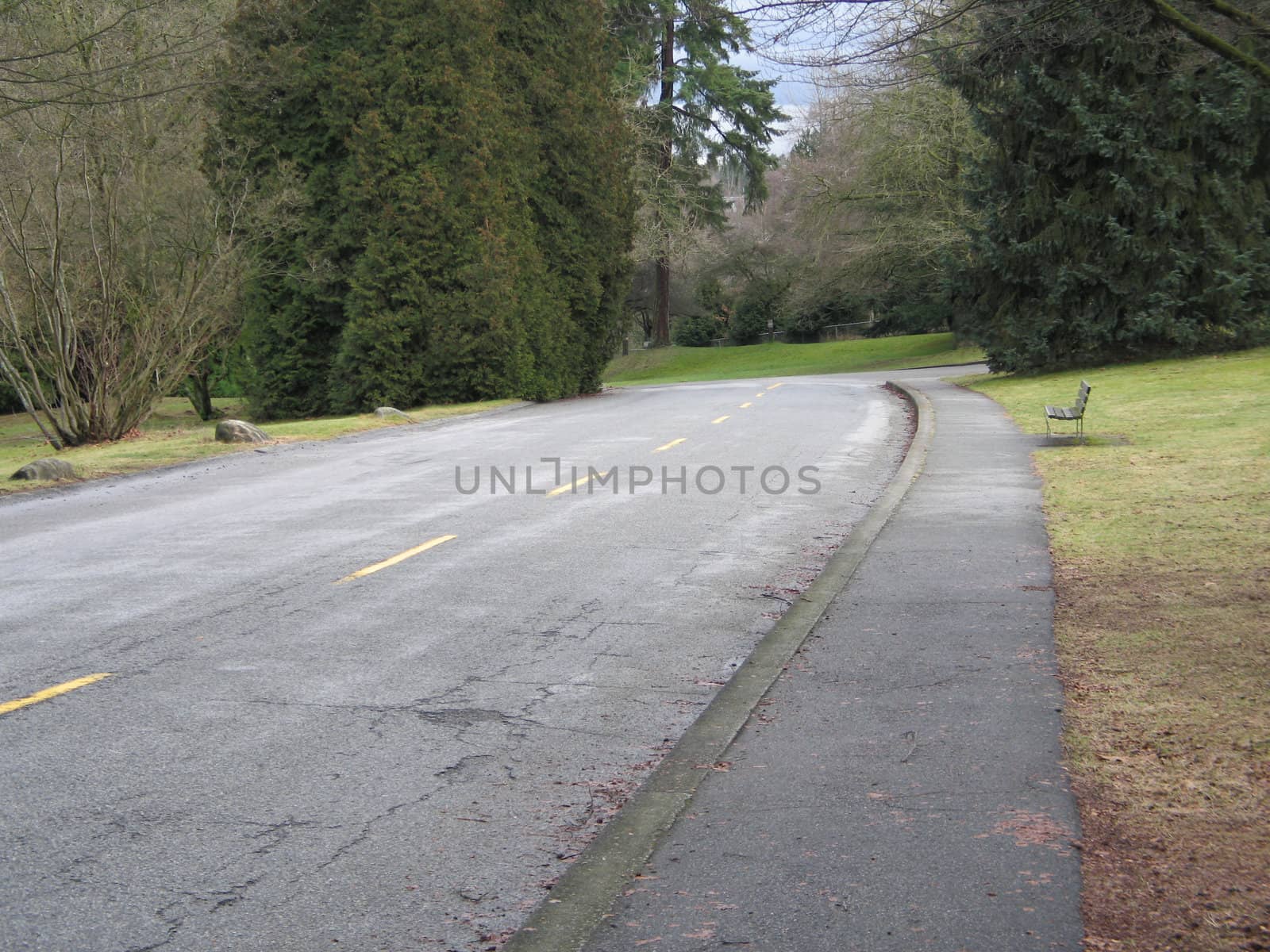 old paved path