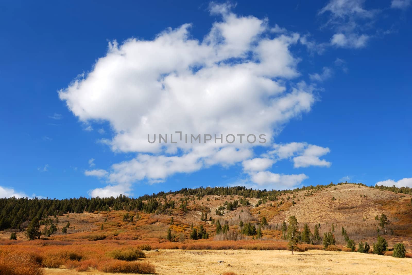 White cloud in blue sky above mountain side