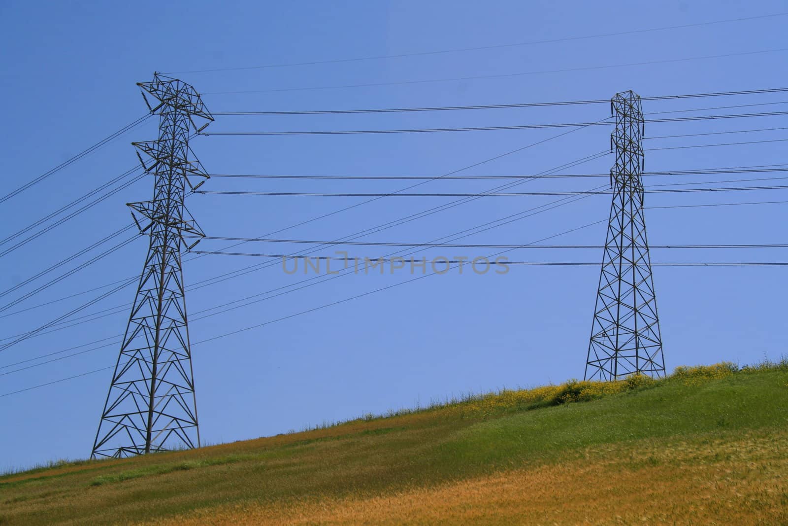 Two electricity pylons on a hill over clear blue sky.
