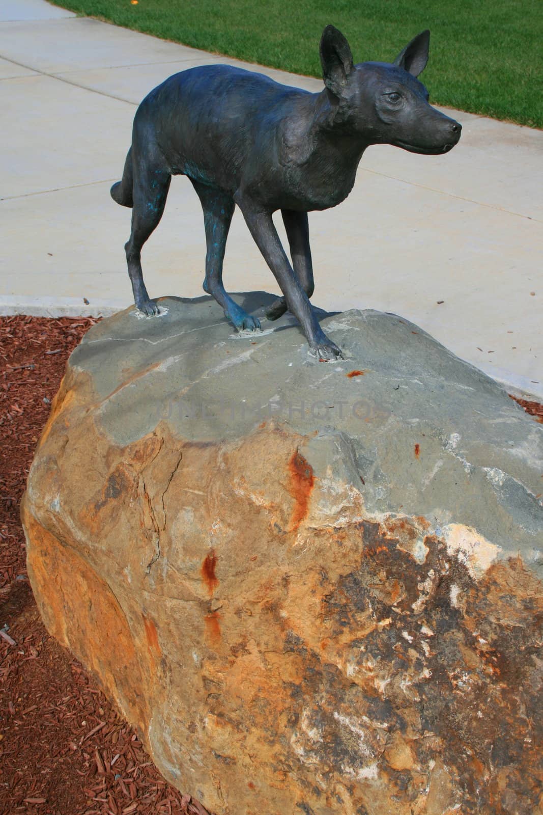 Close up of a statue of a fox.
