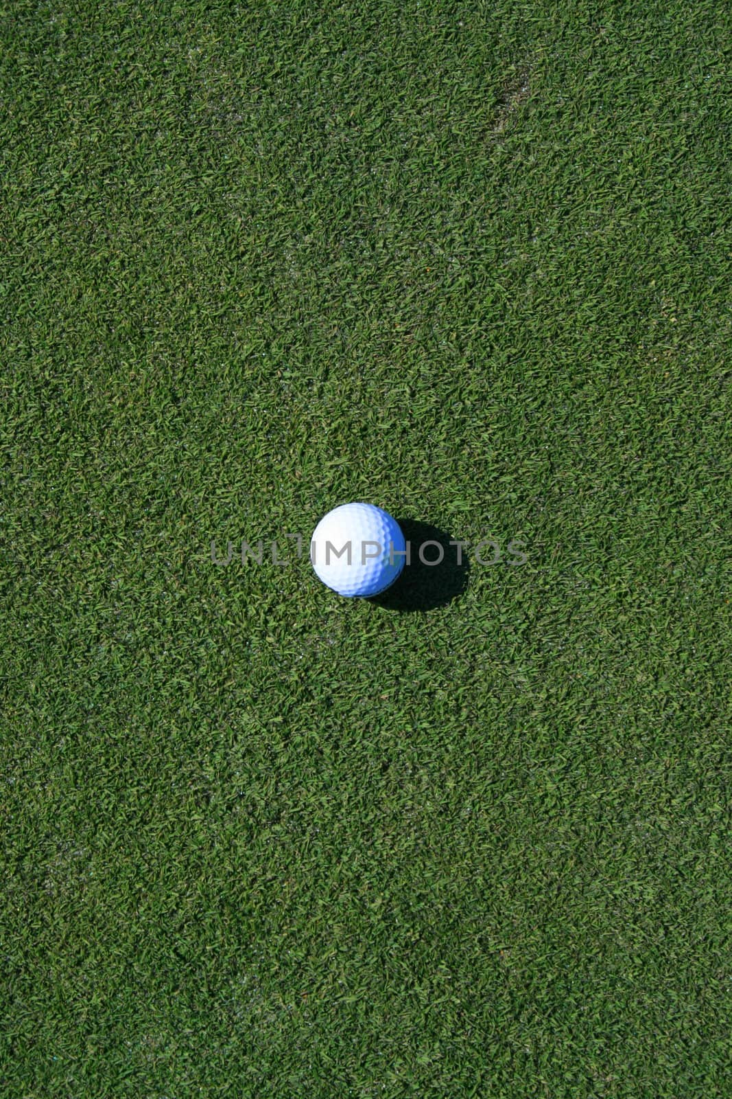 Close up of a golf ball on a golf course.
