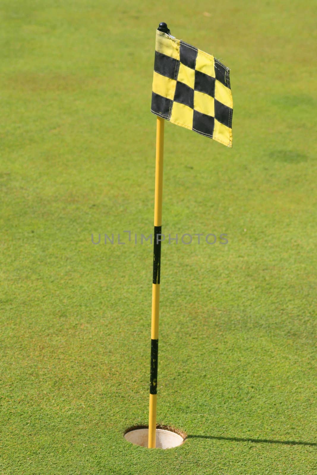 Flag on a green grass golf course.
