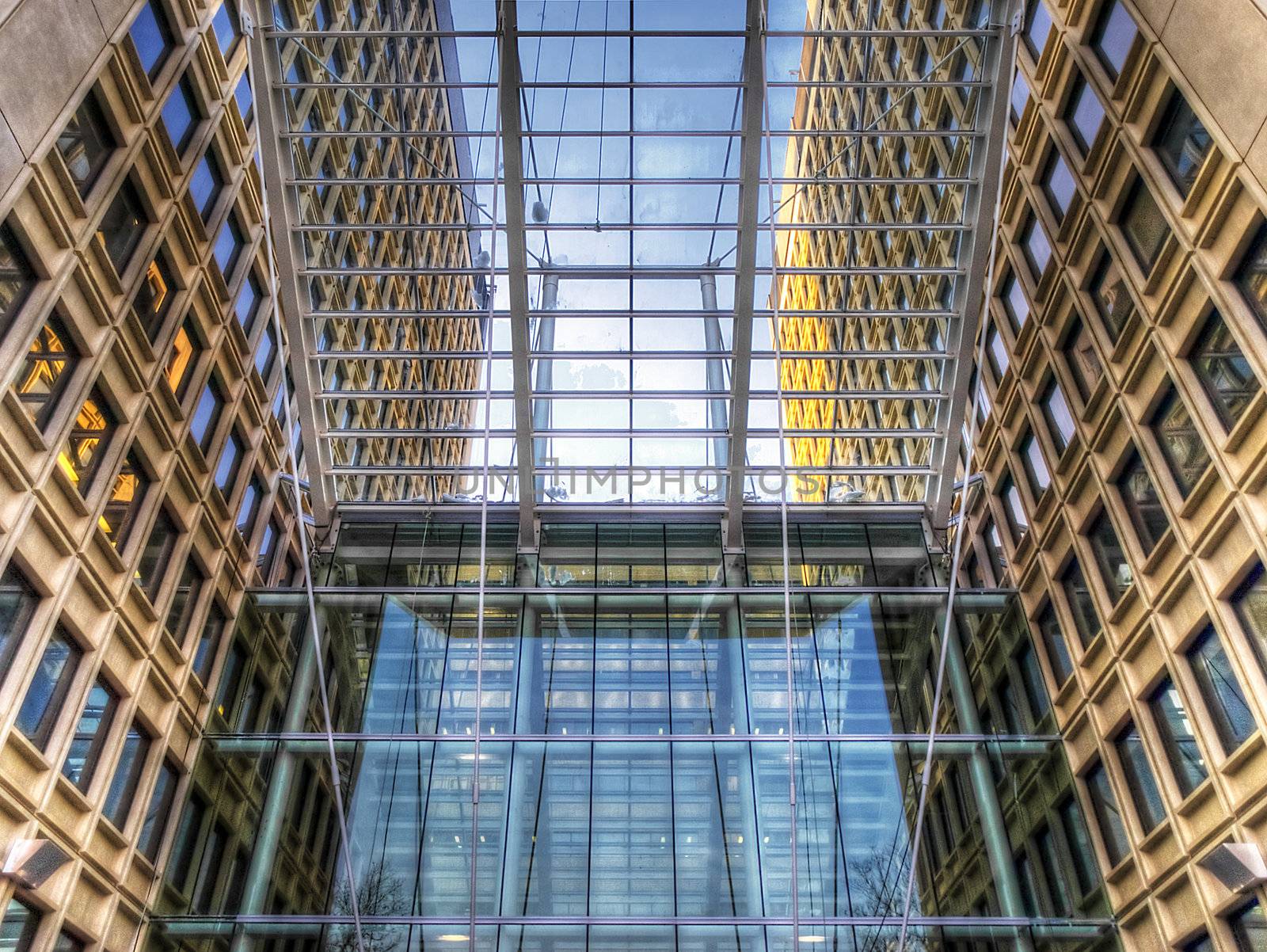 Grid of Glass and Steel by watamyr