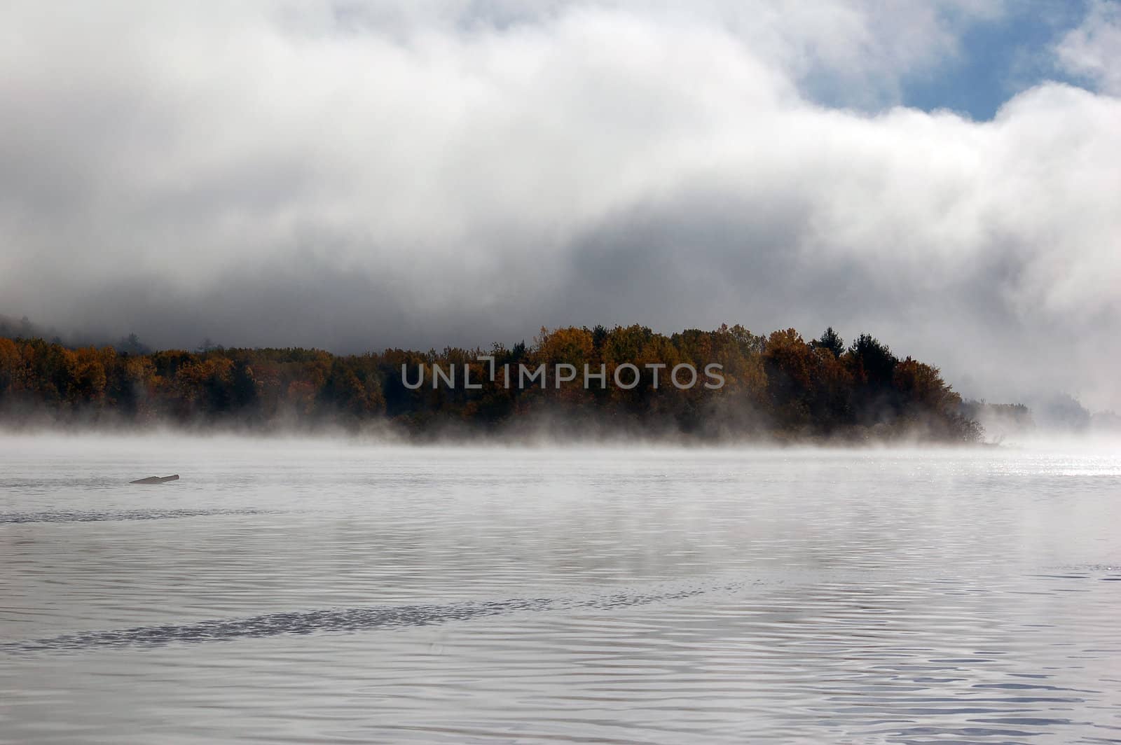 Picture of a colorful autumn landscape with morning fog