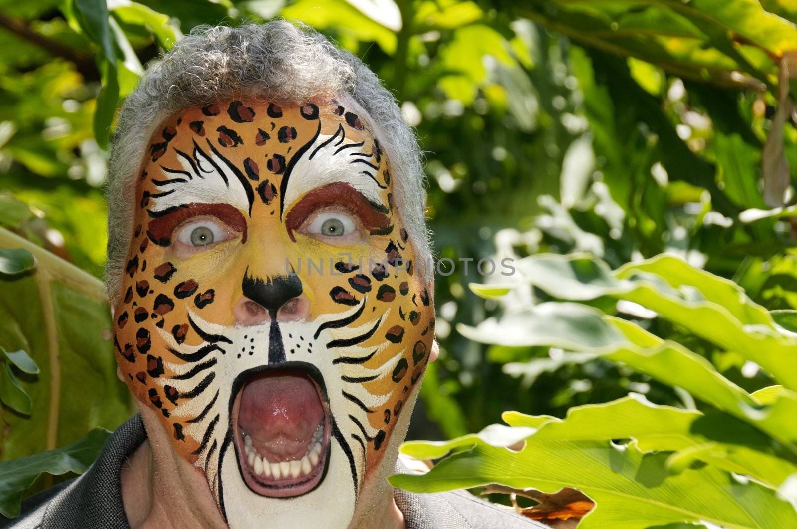 A man with his face painted like a leopard acting frightened.
