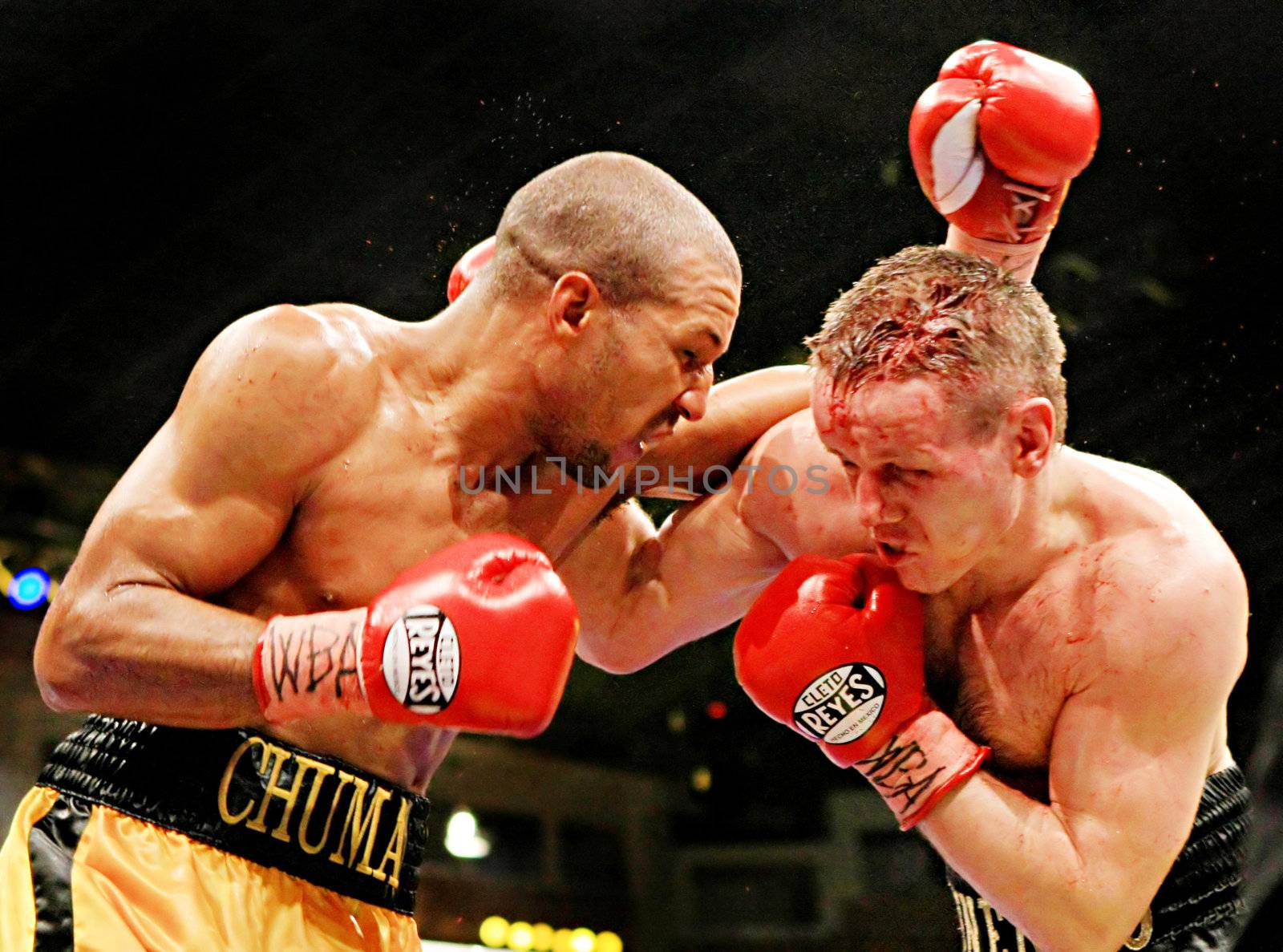 WBA interim welterweight belt holder Yuriy Nuzhnenko of Ukraine (R) and Irving Garcia of Puerto Rico (WBA ranked #15) exchange punches during their WBA World Welterweight Title fight in Kyiv, Saturday, April 19, 2008. The bout ended in a technical draw and Nuzhnenko retained his title. 