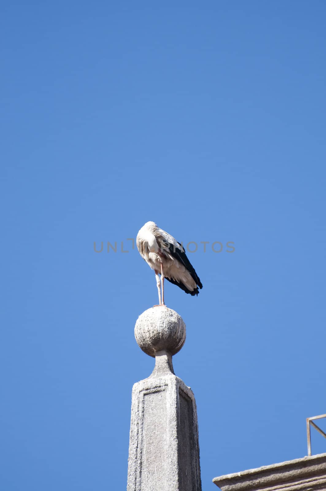 Picture of a nest stork over a roof.