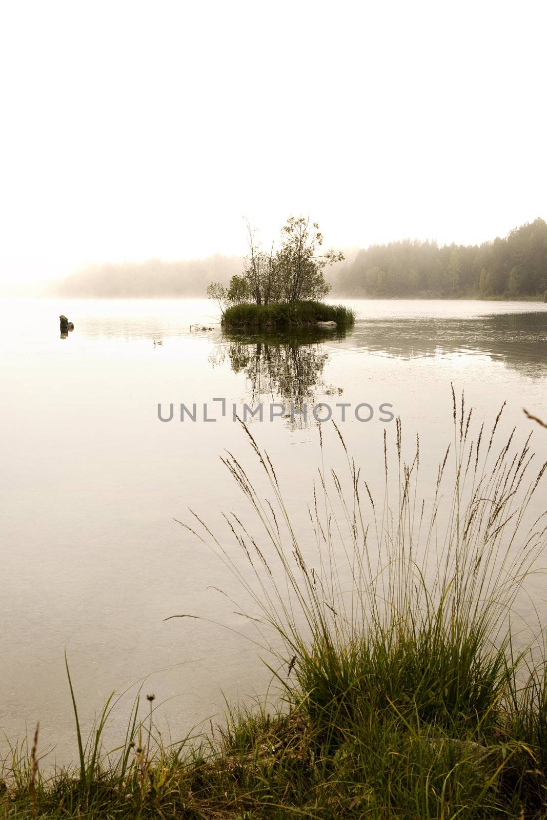 A quiet mysterious lake with fog