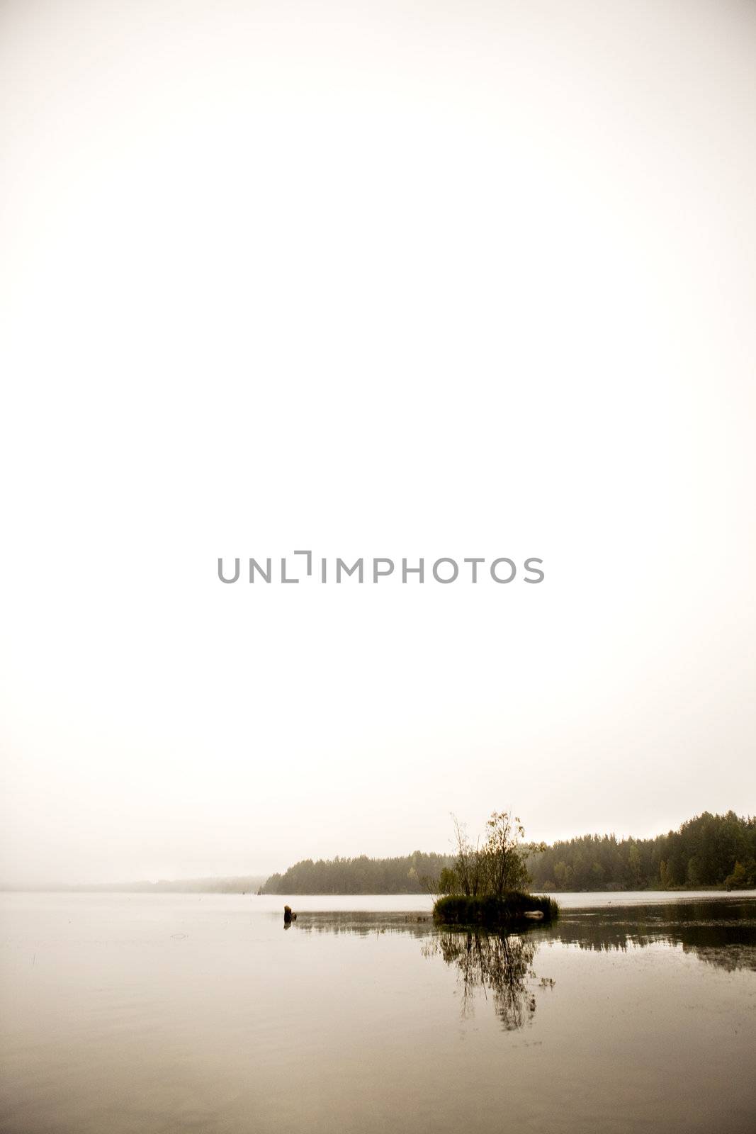 A peaceful lake with calm fog