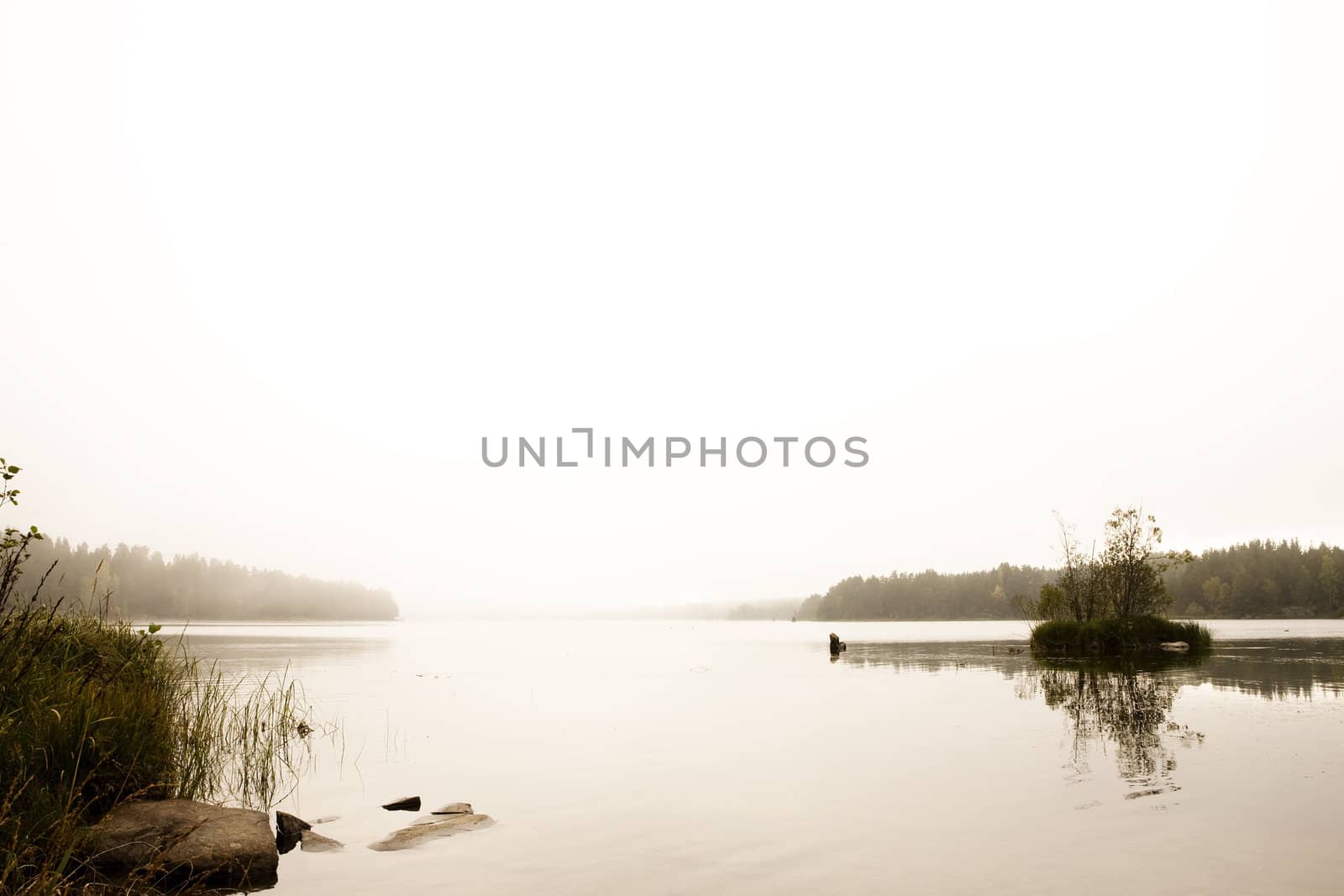 A quiet calm lake with fog