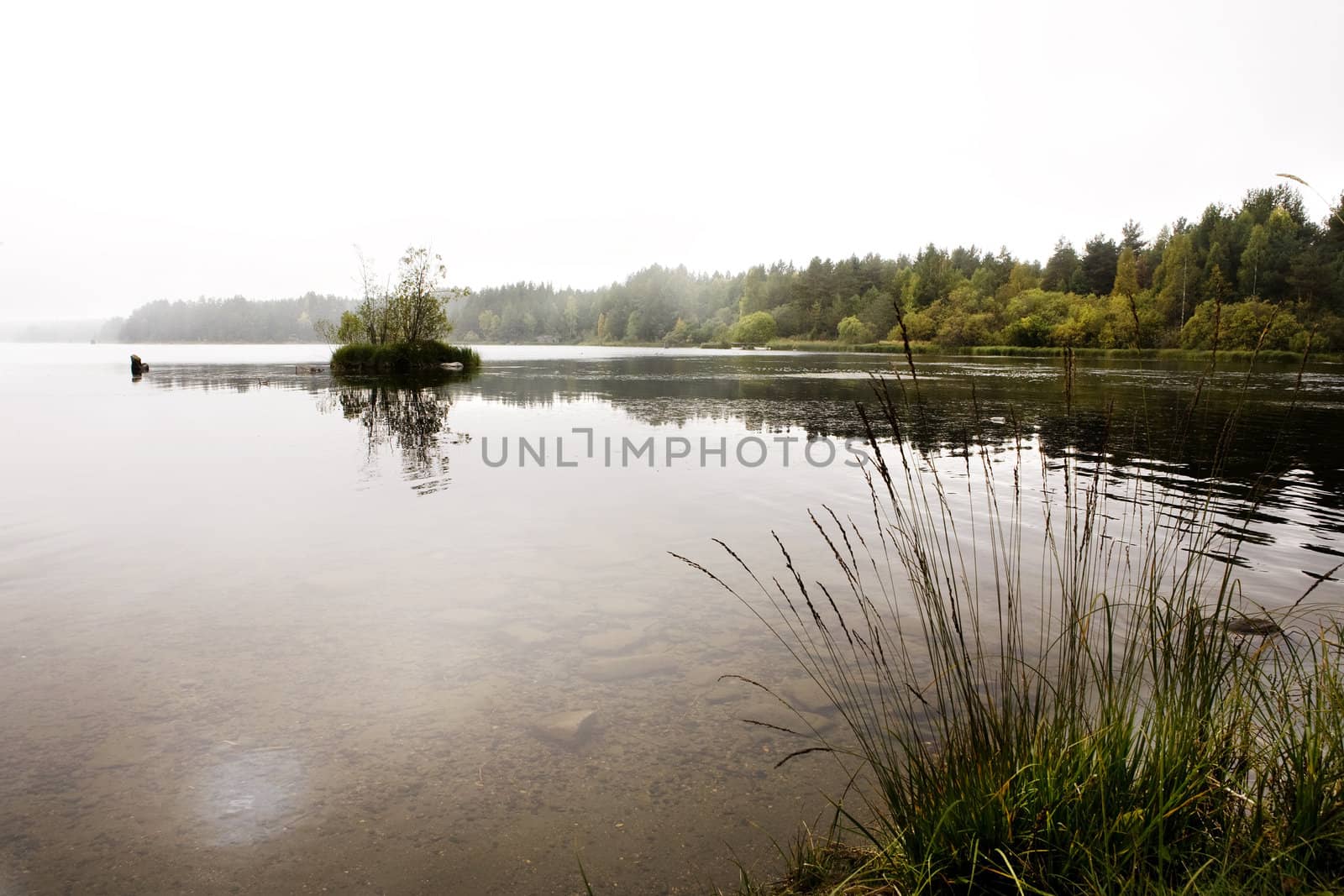 A quiet calm lake with fog