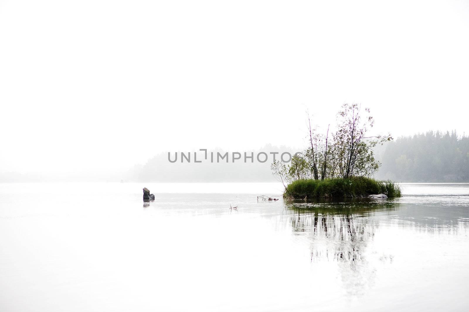 A peaceful lake with calm fog