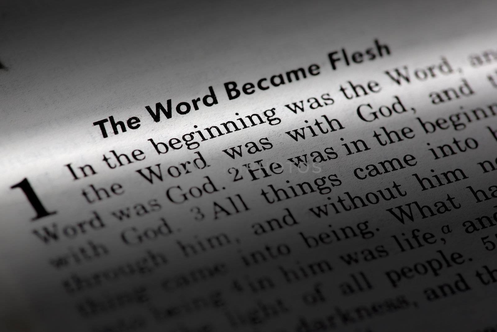 John 1:1 - The word became flesh. Popular New Testament passage