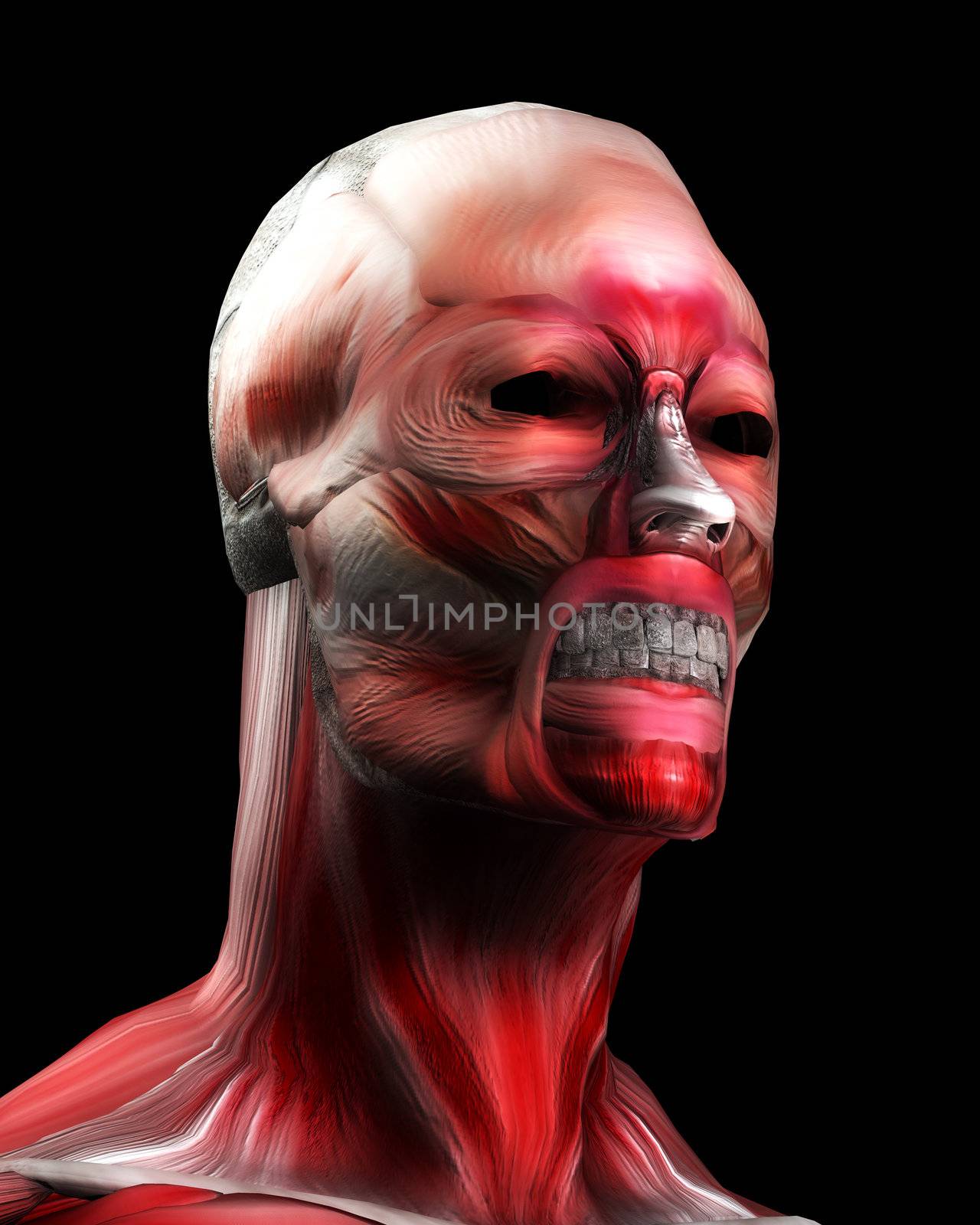 A face made out of muscle for medical or horror concepts.