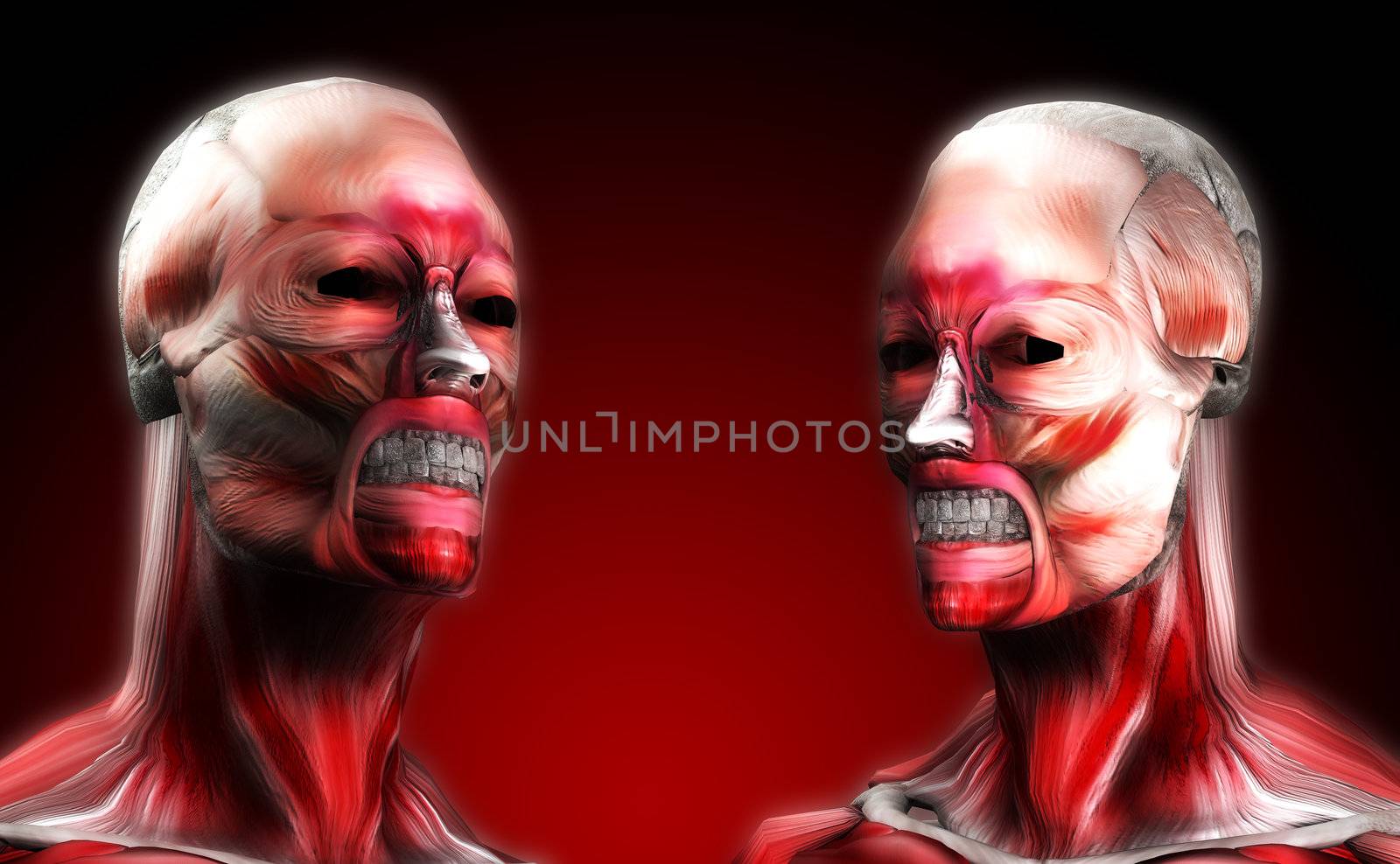 A set of faces made out of muscle for medical or horror concepts.